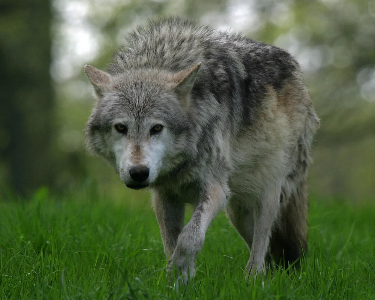 Entry 11838091