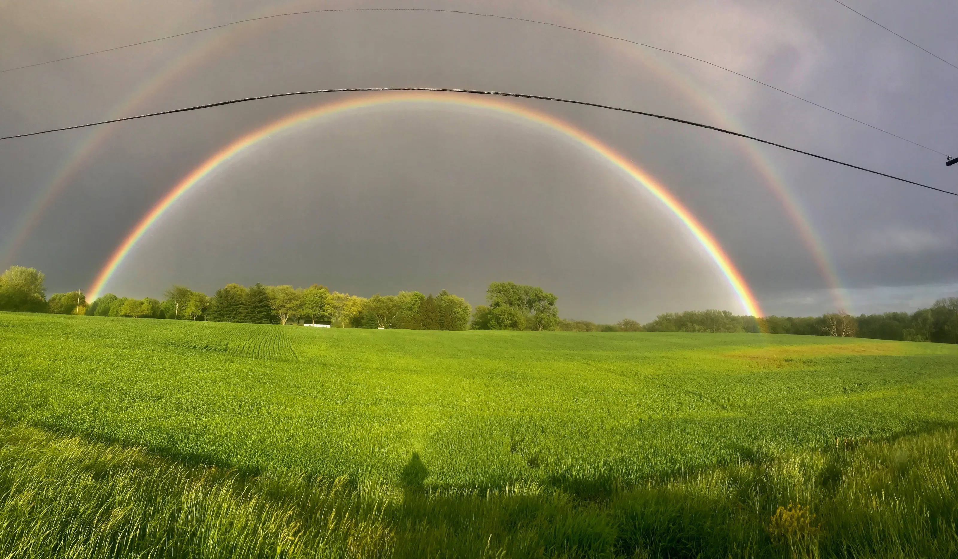 Chasing rainbows