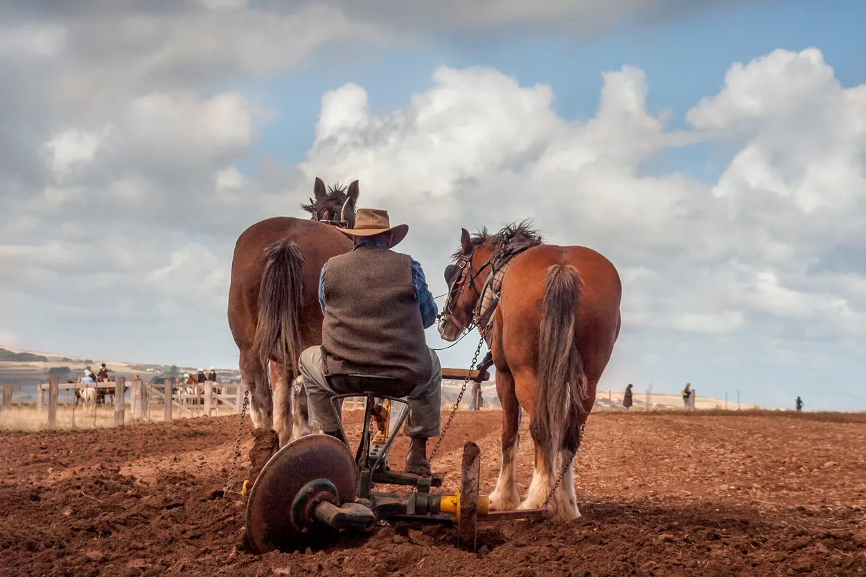 Entry 8283994
