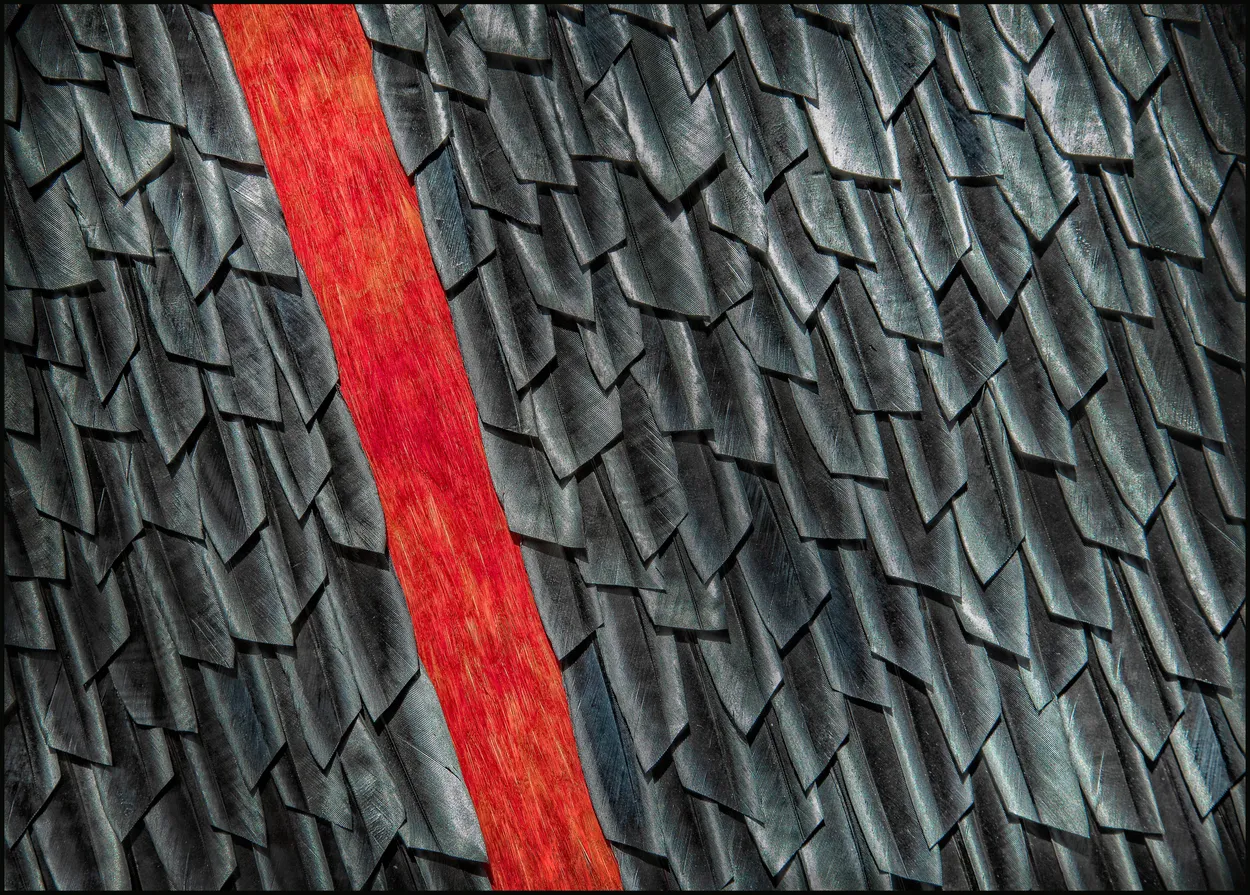 Feathers