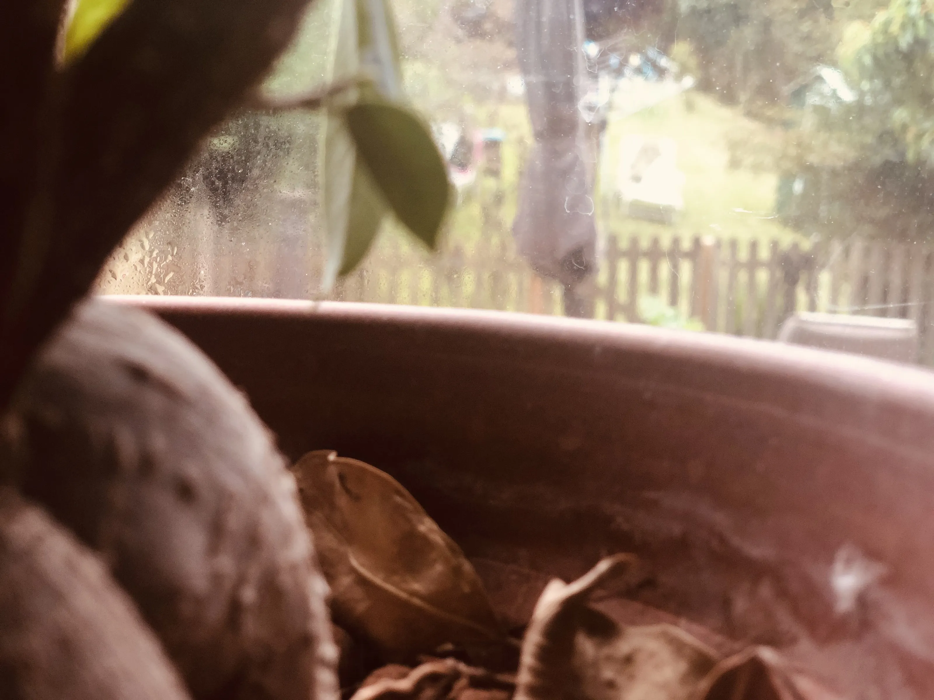 Feeling like autumn