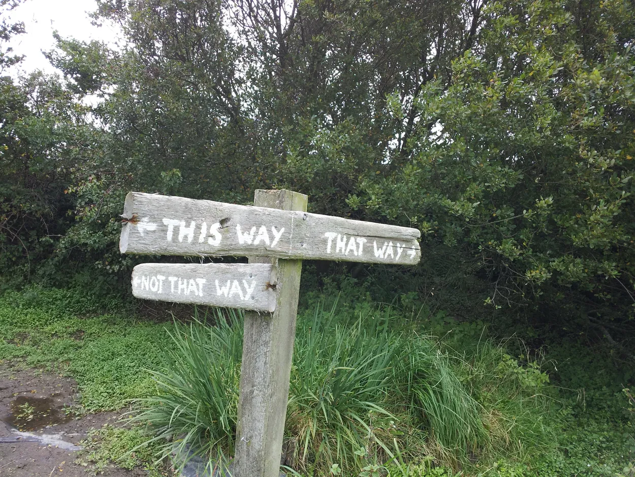 Entry 7146099