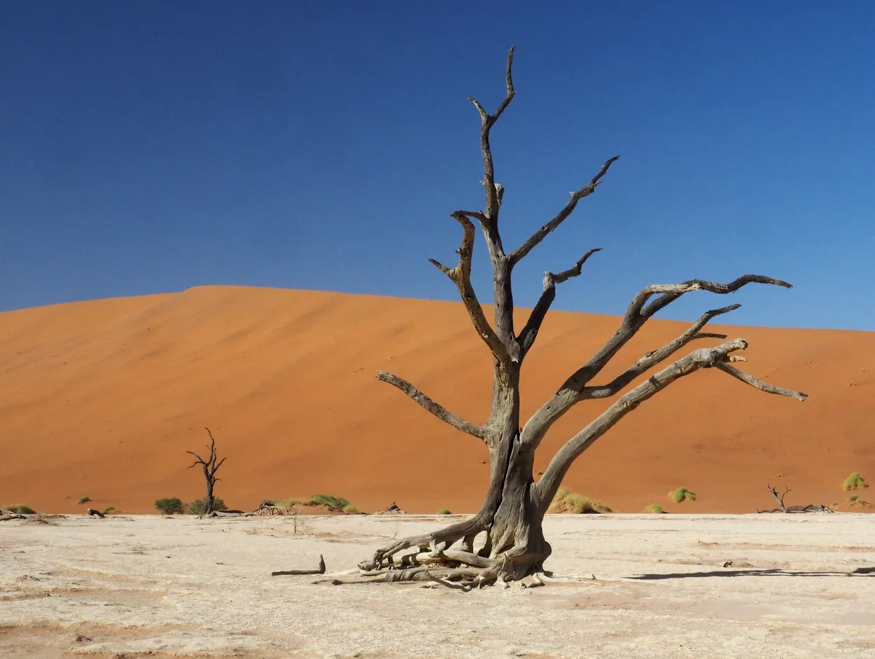 Entry 6417250