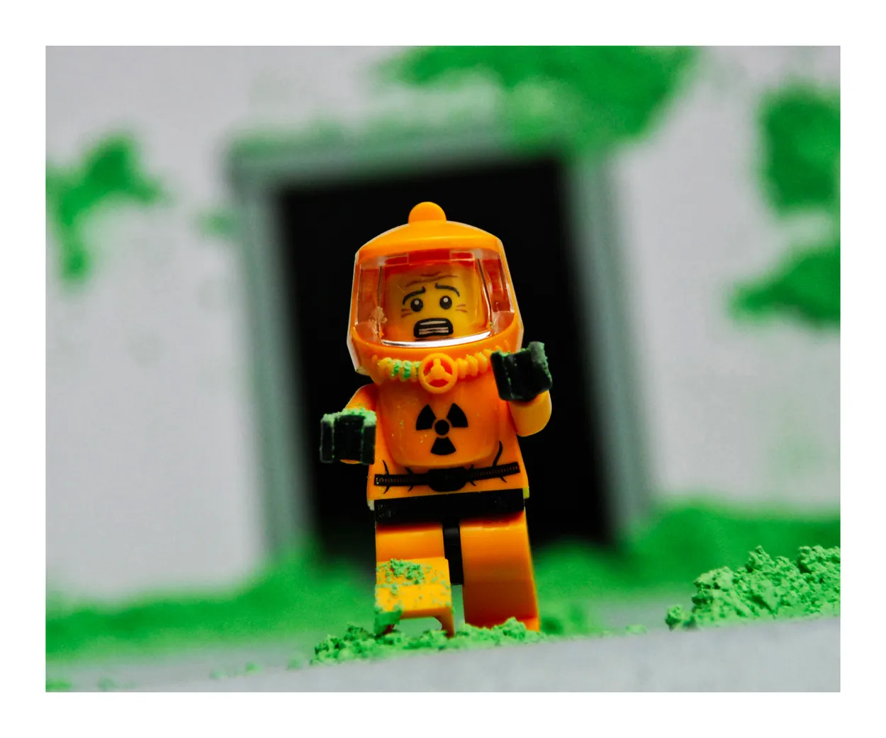 Entry 8508556