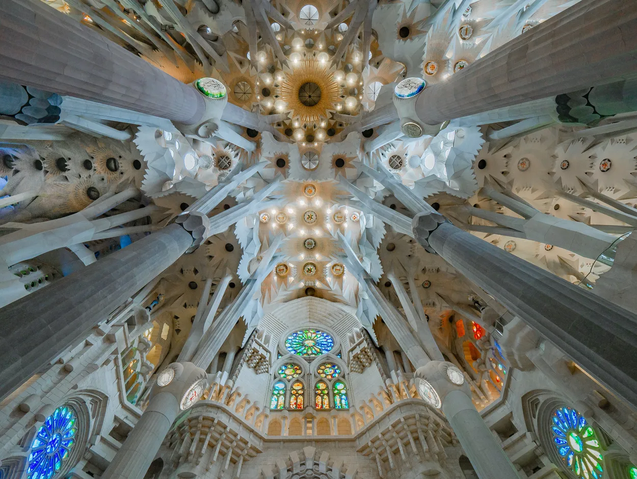 Looking Up