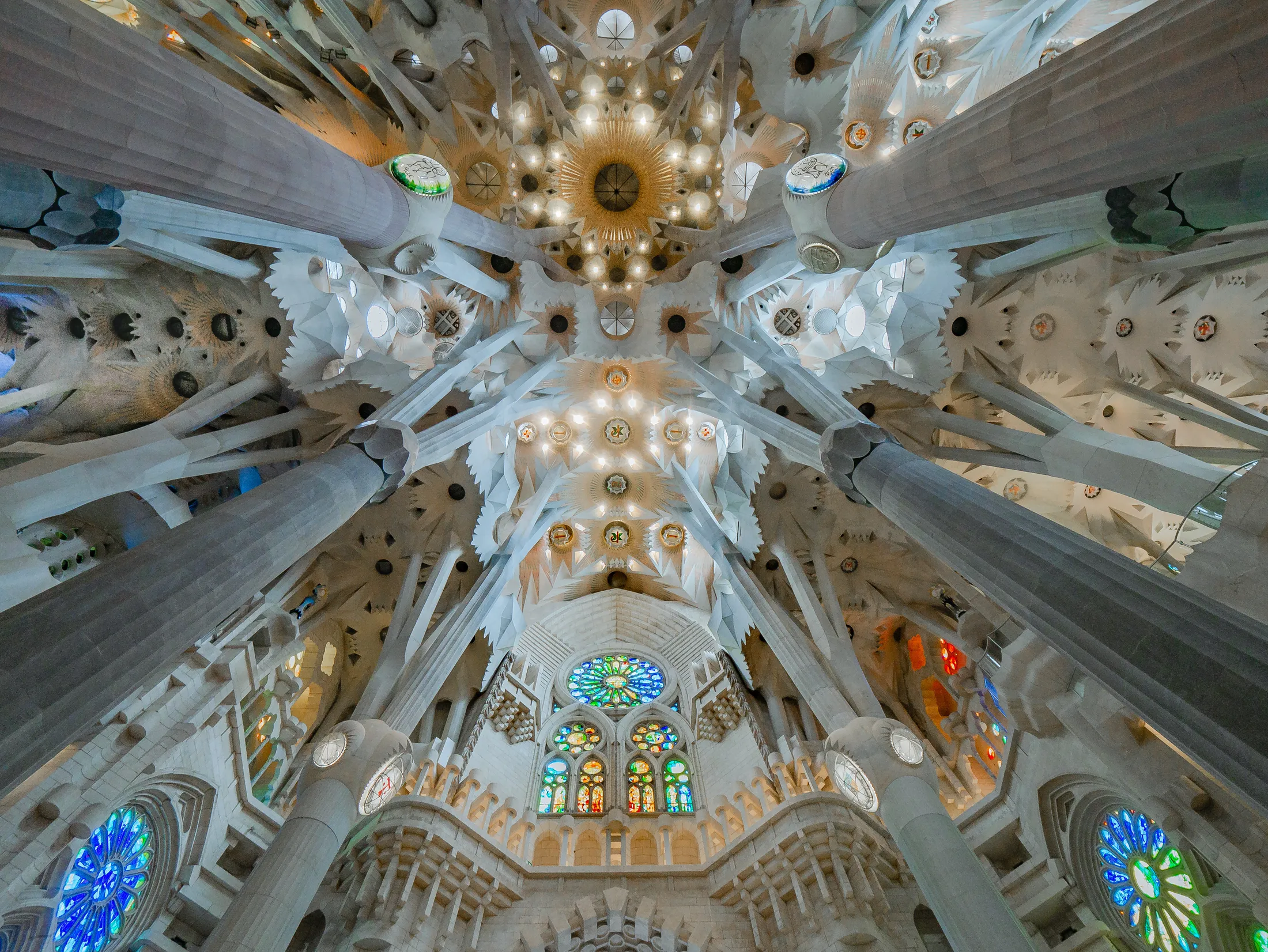Looking Up