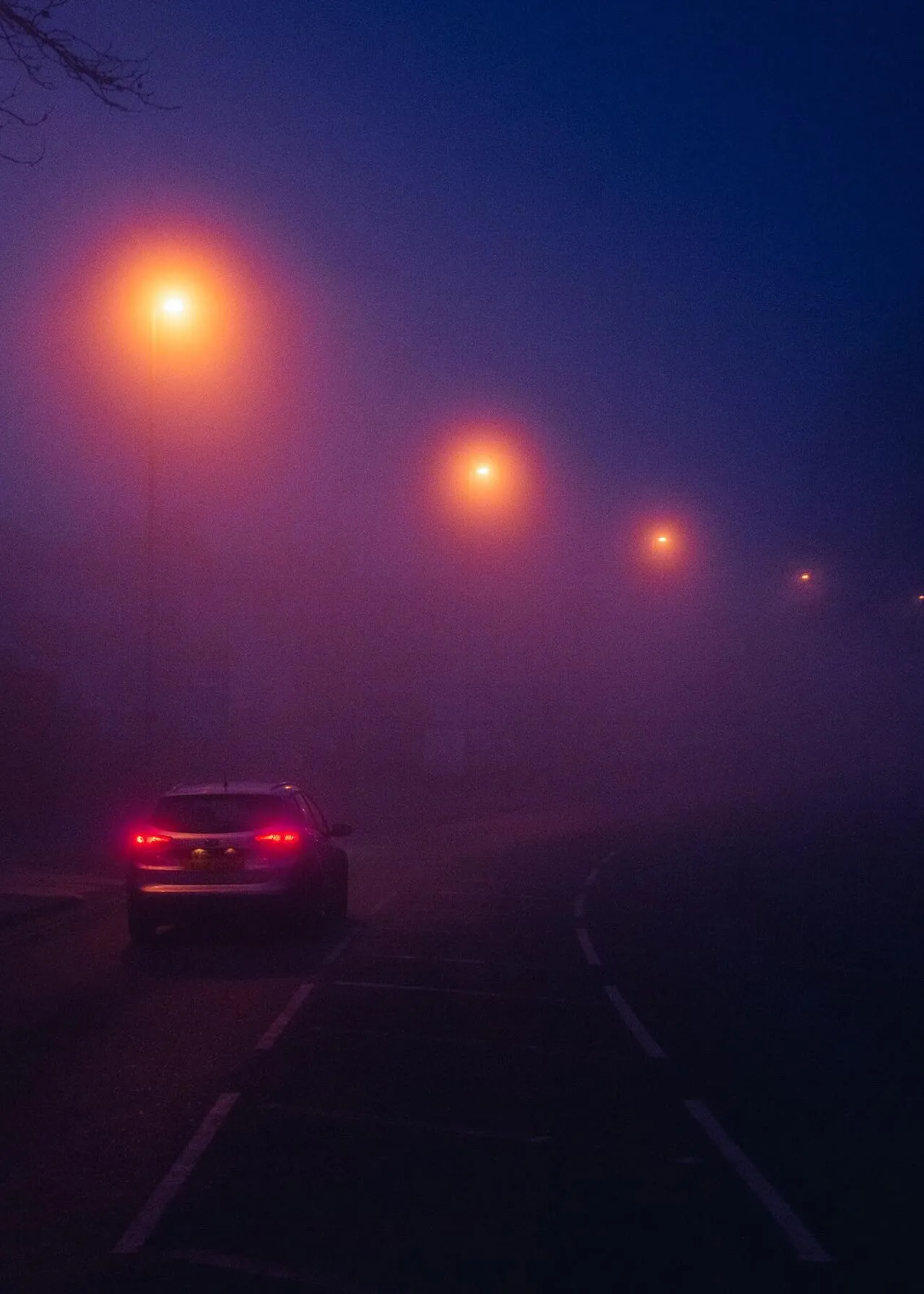 euphoria