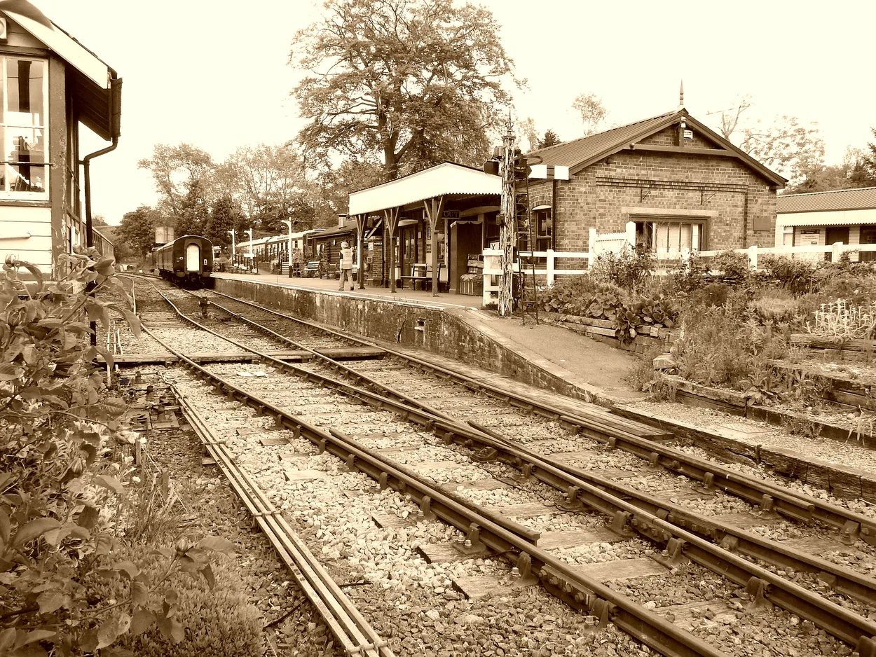 Entry 19016334