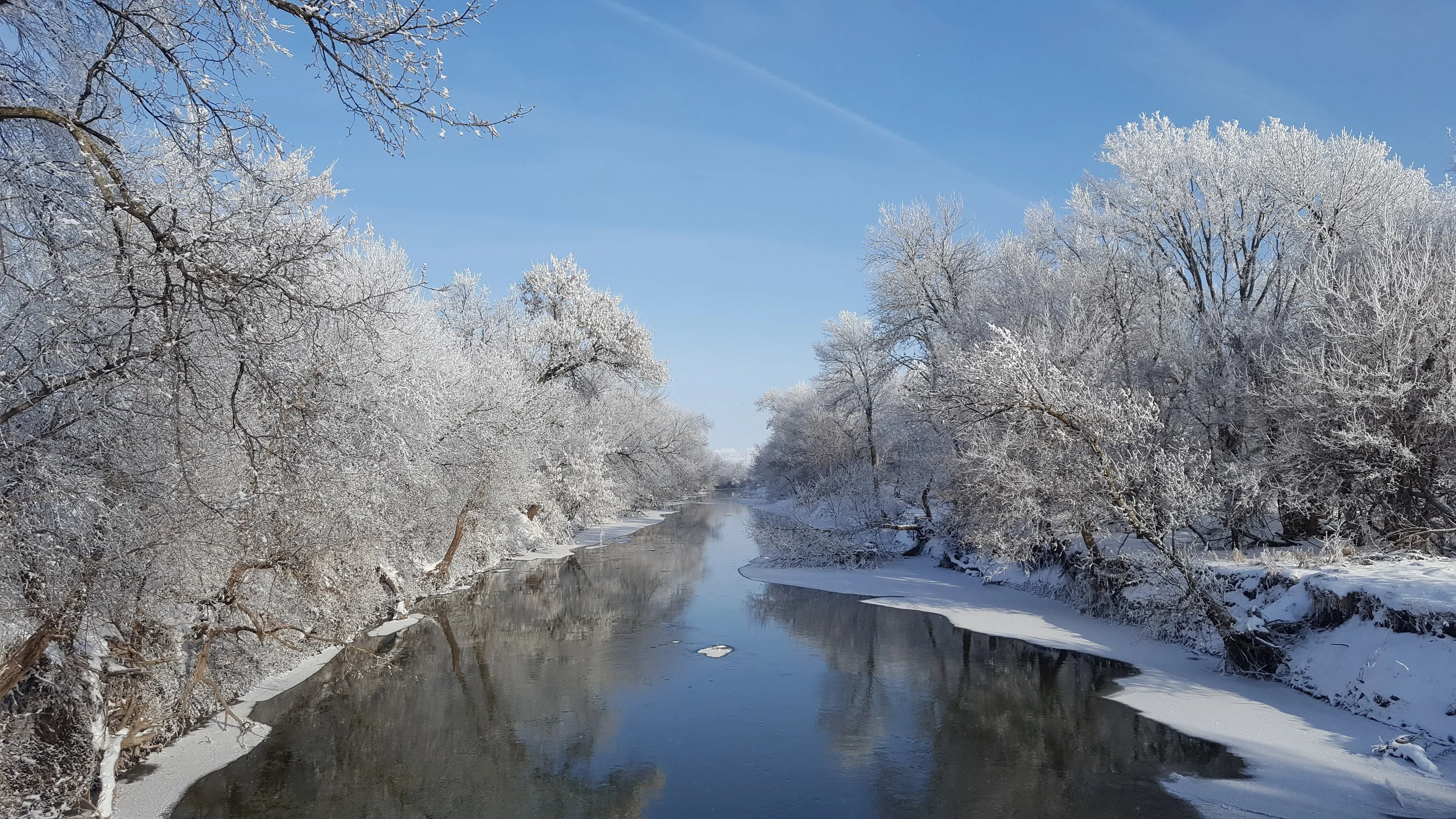Icy Winter