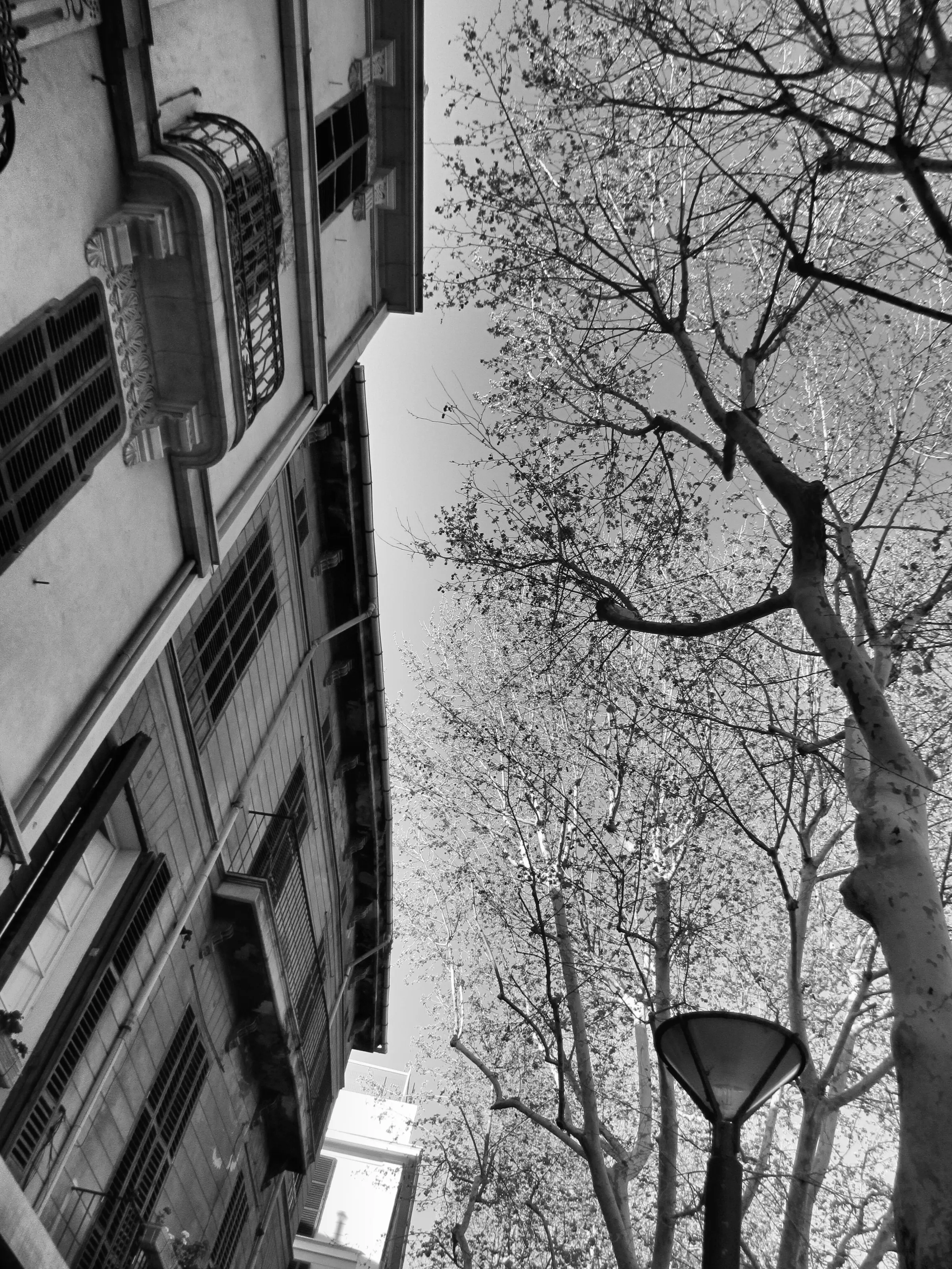 Street Walk
