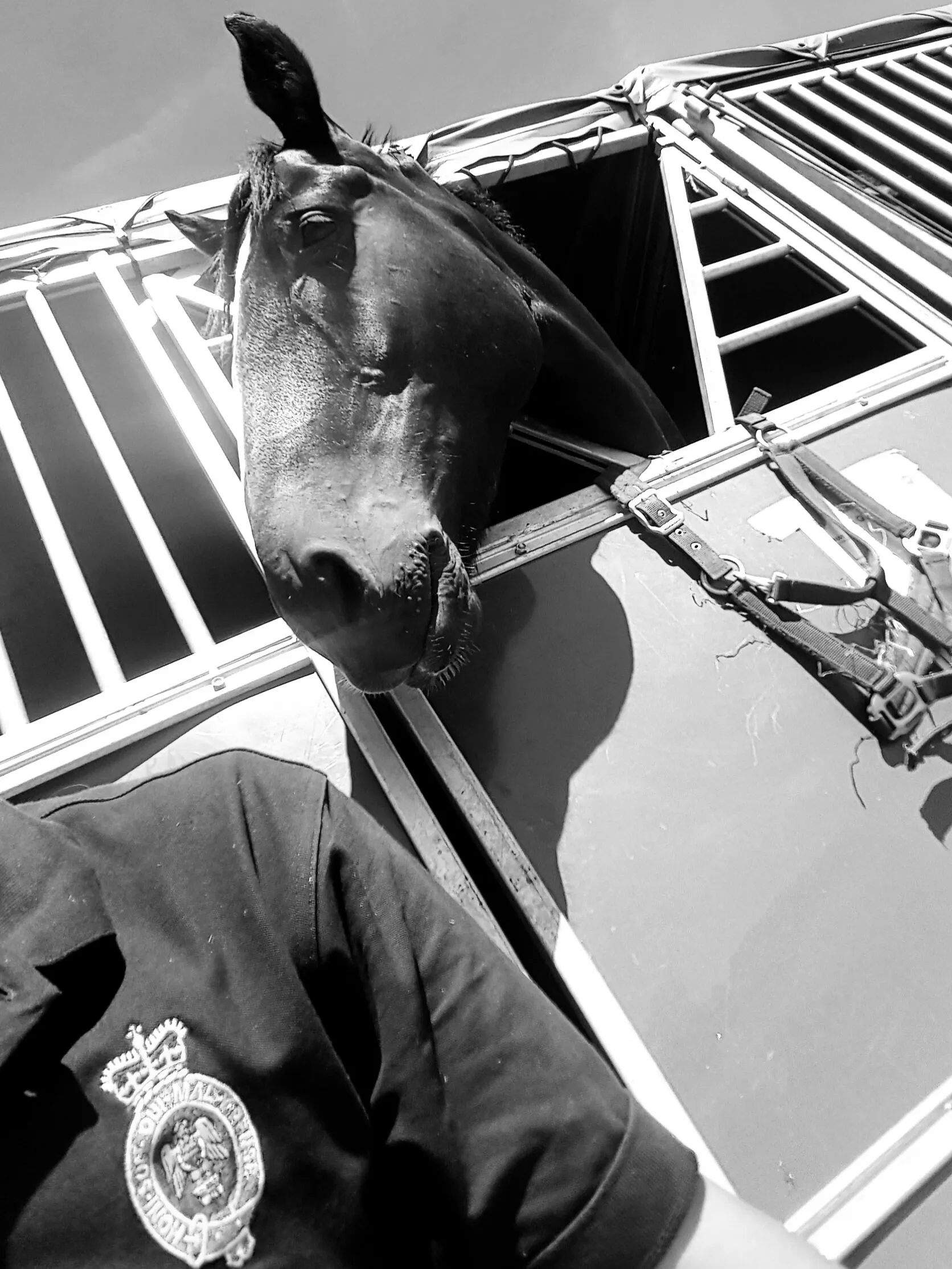 Quantock