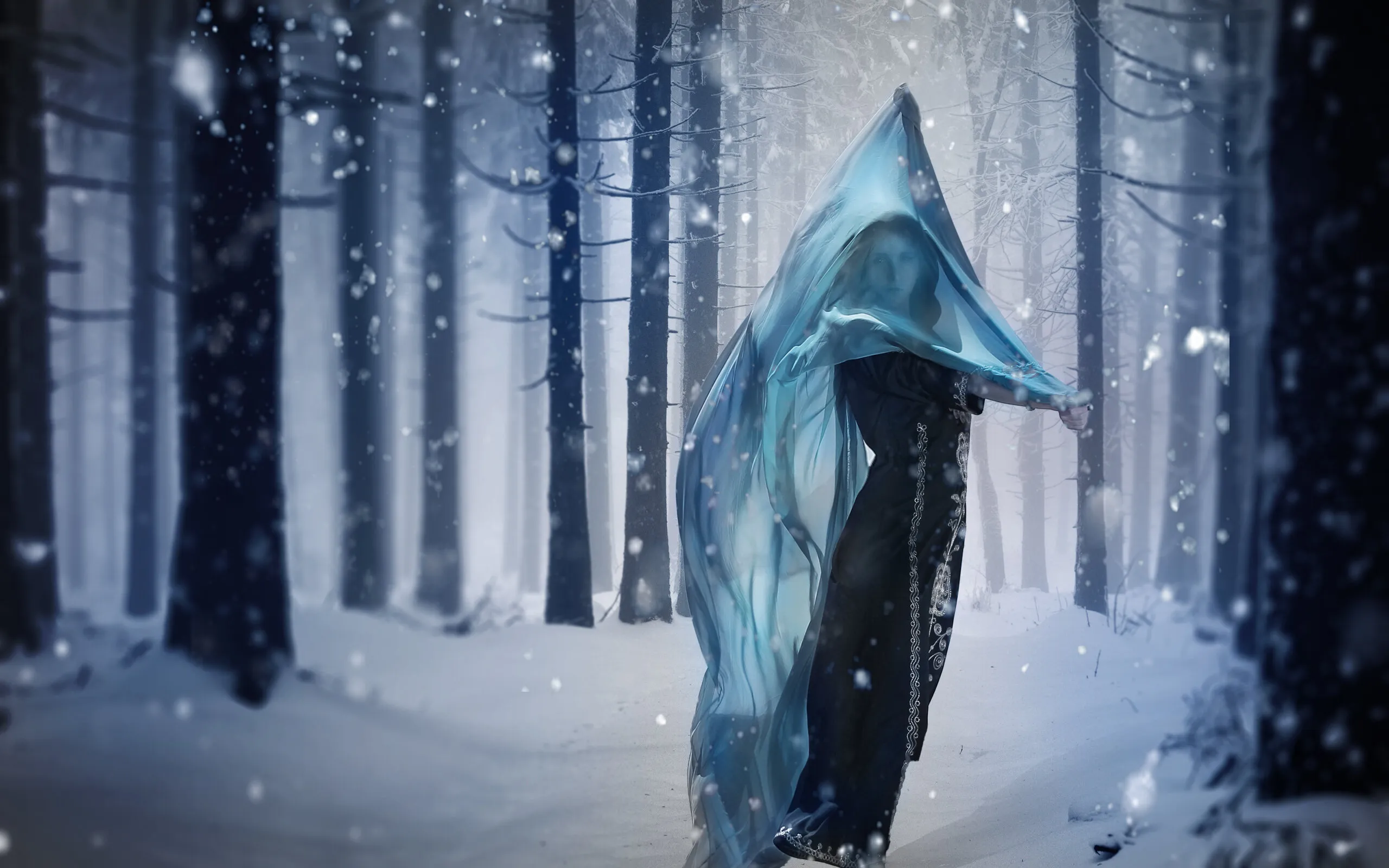 Frozen Beauty
