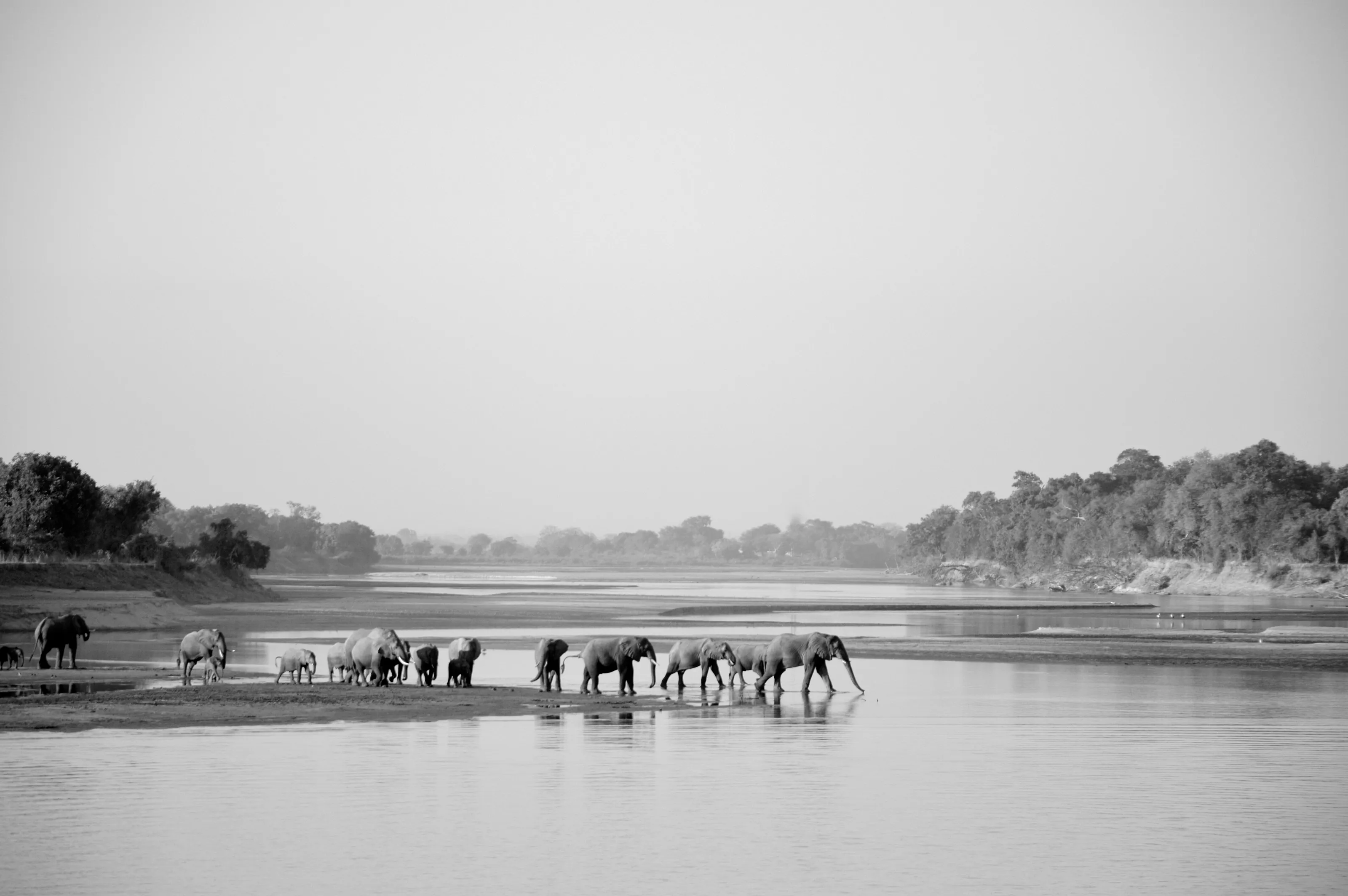 Zambia
