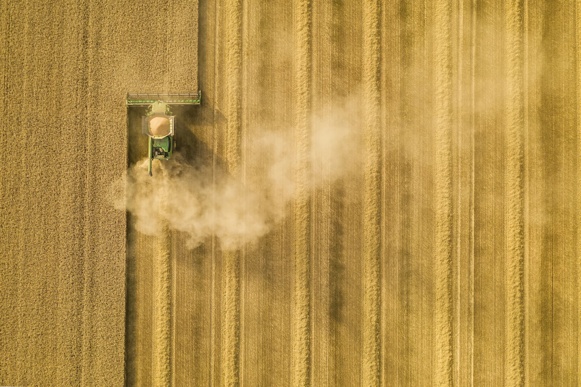 Harvest