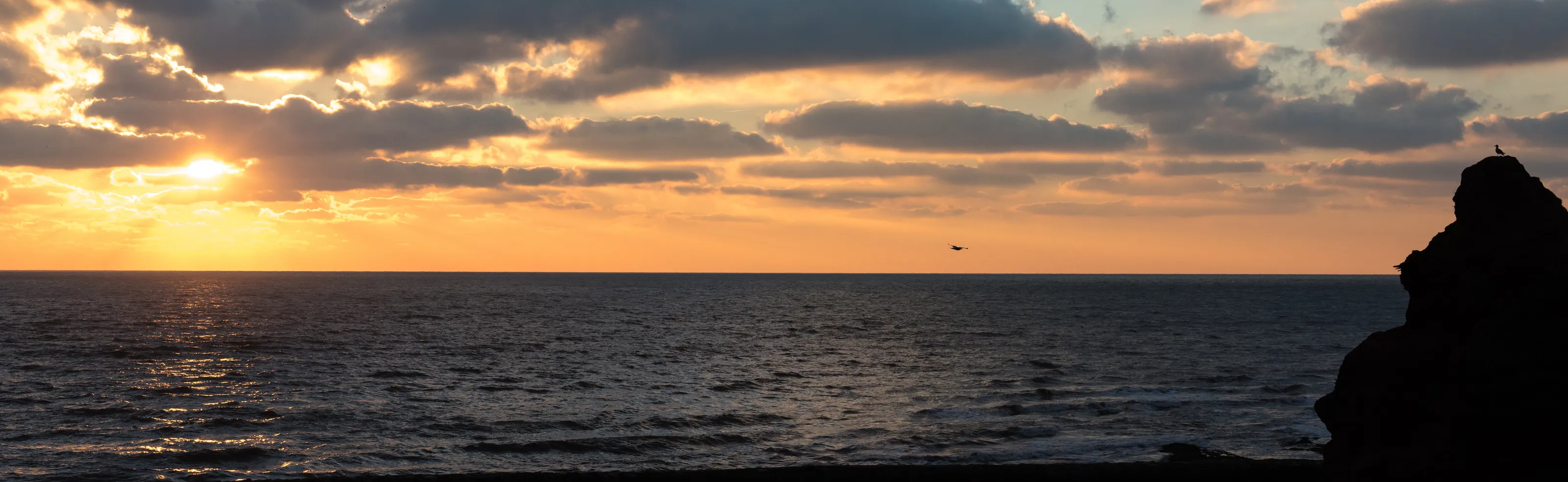 Dawlish Dawn