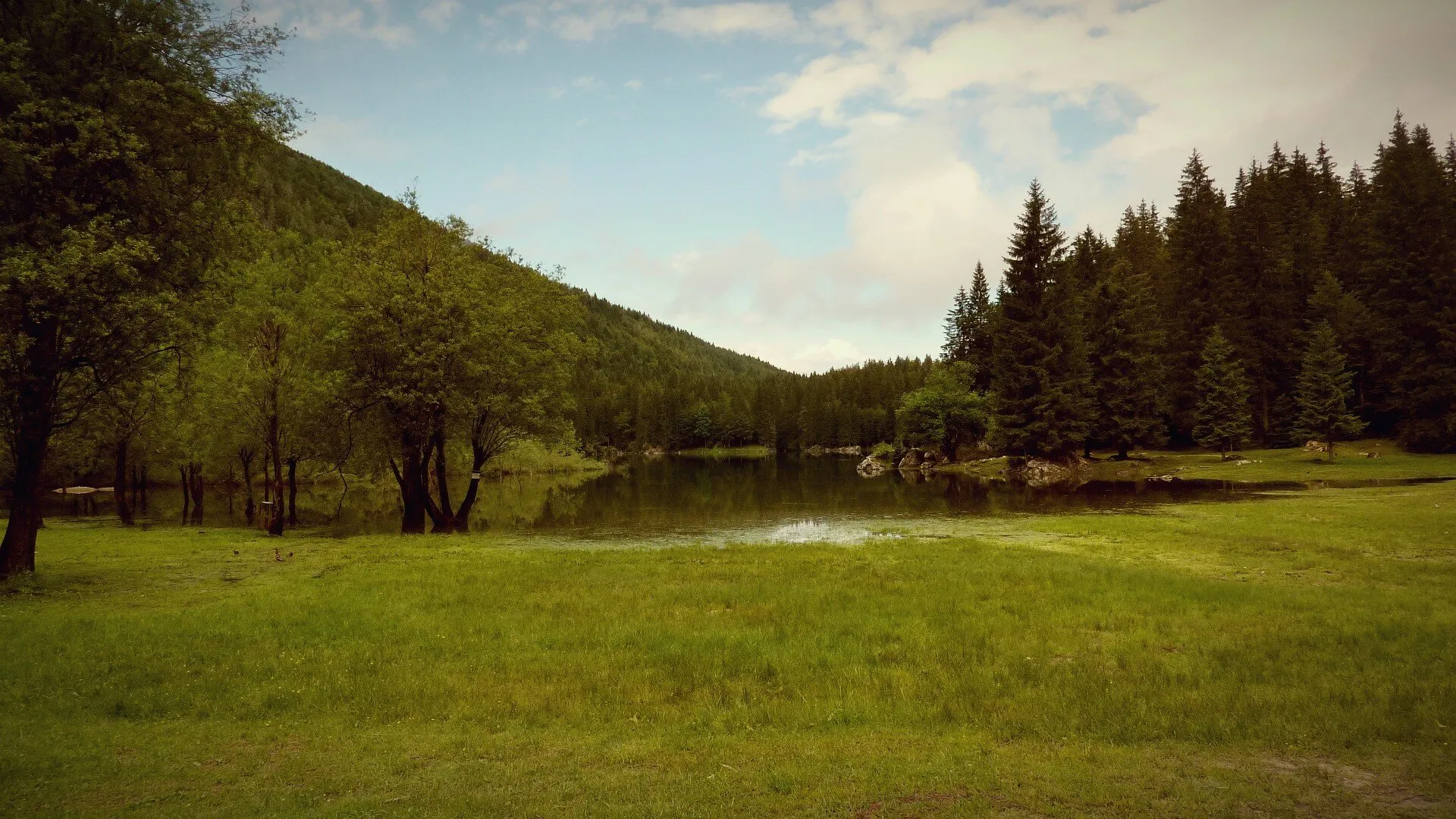 Landscape