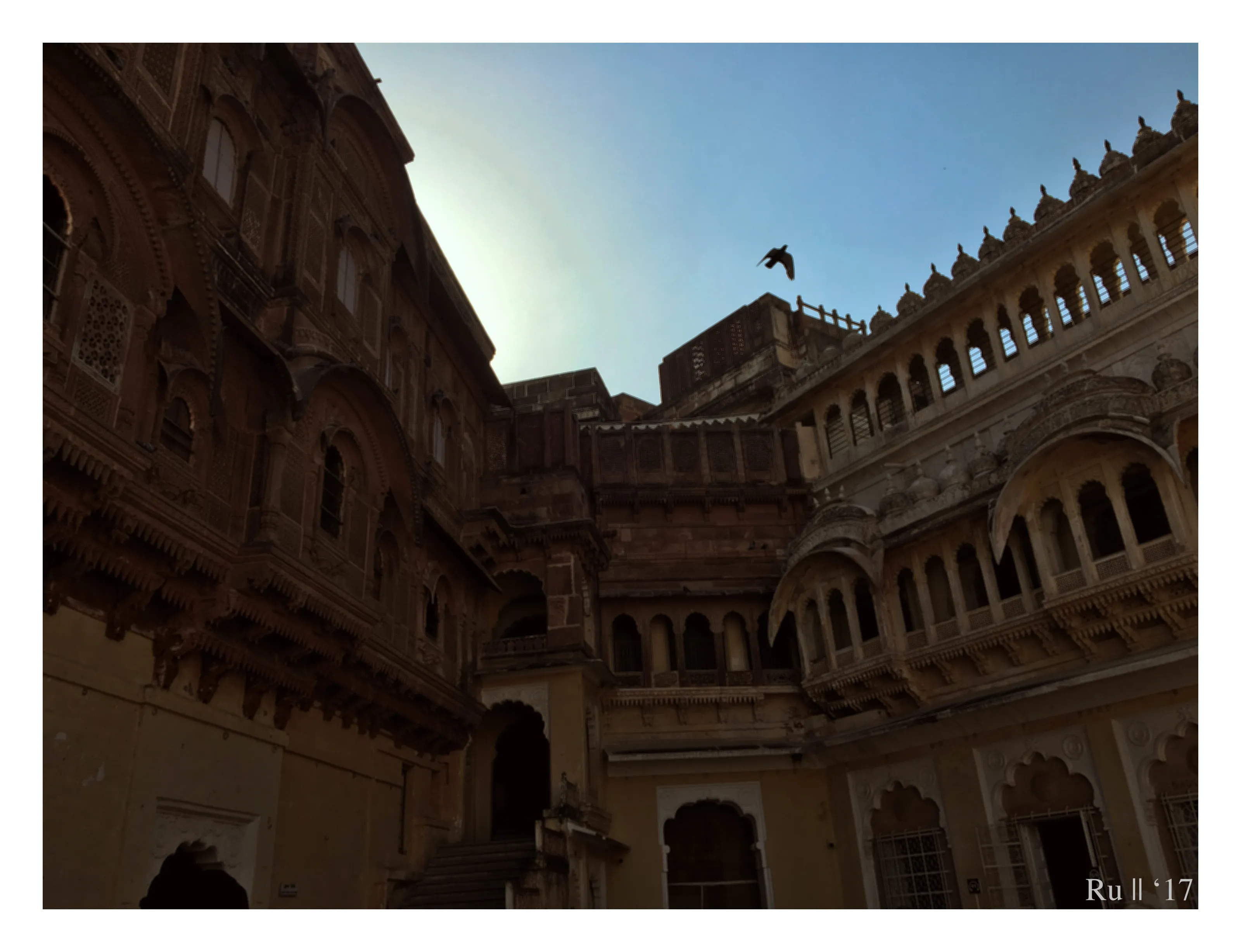 A Royal View