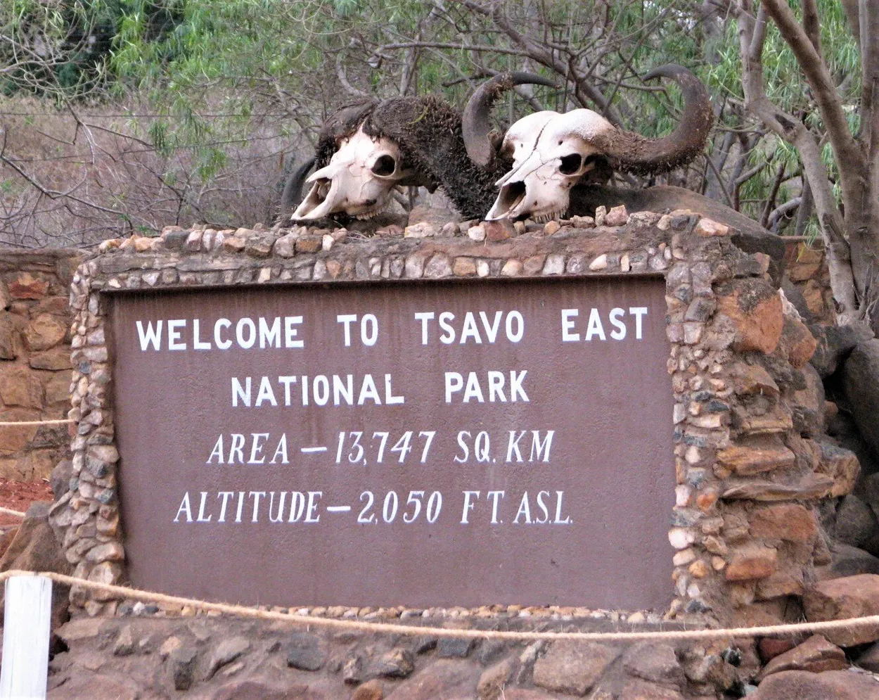 Entry 14970030