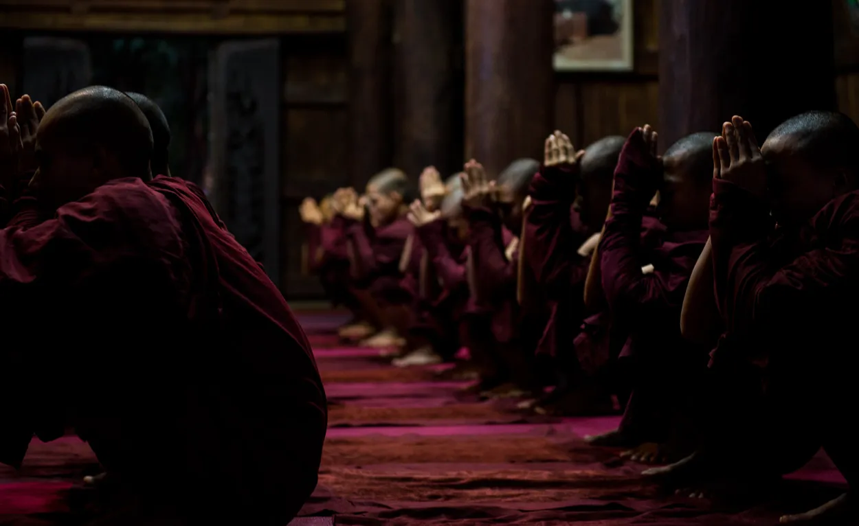 Entry 331488