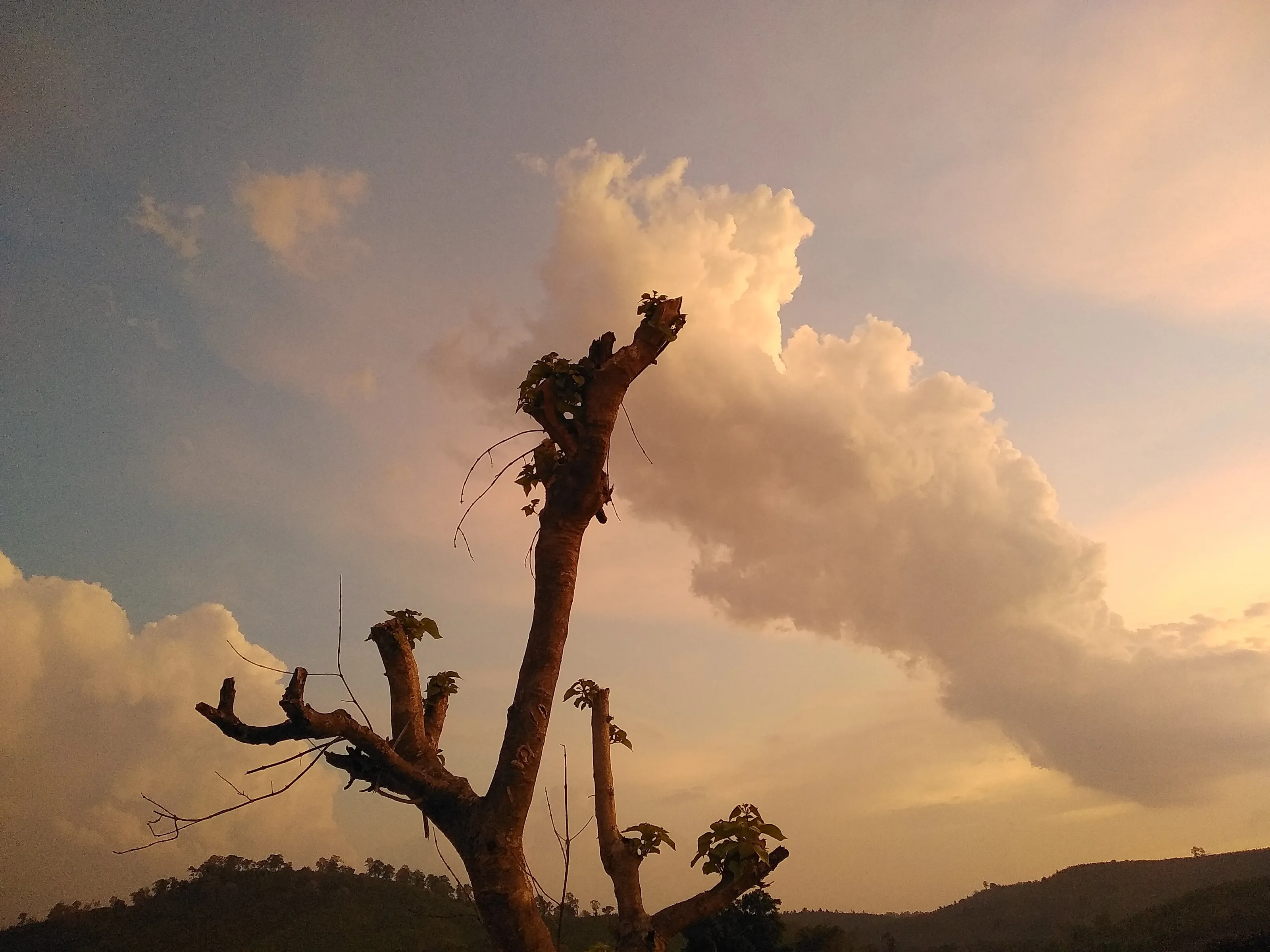 sunset landscape