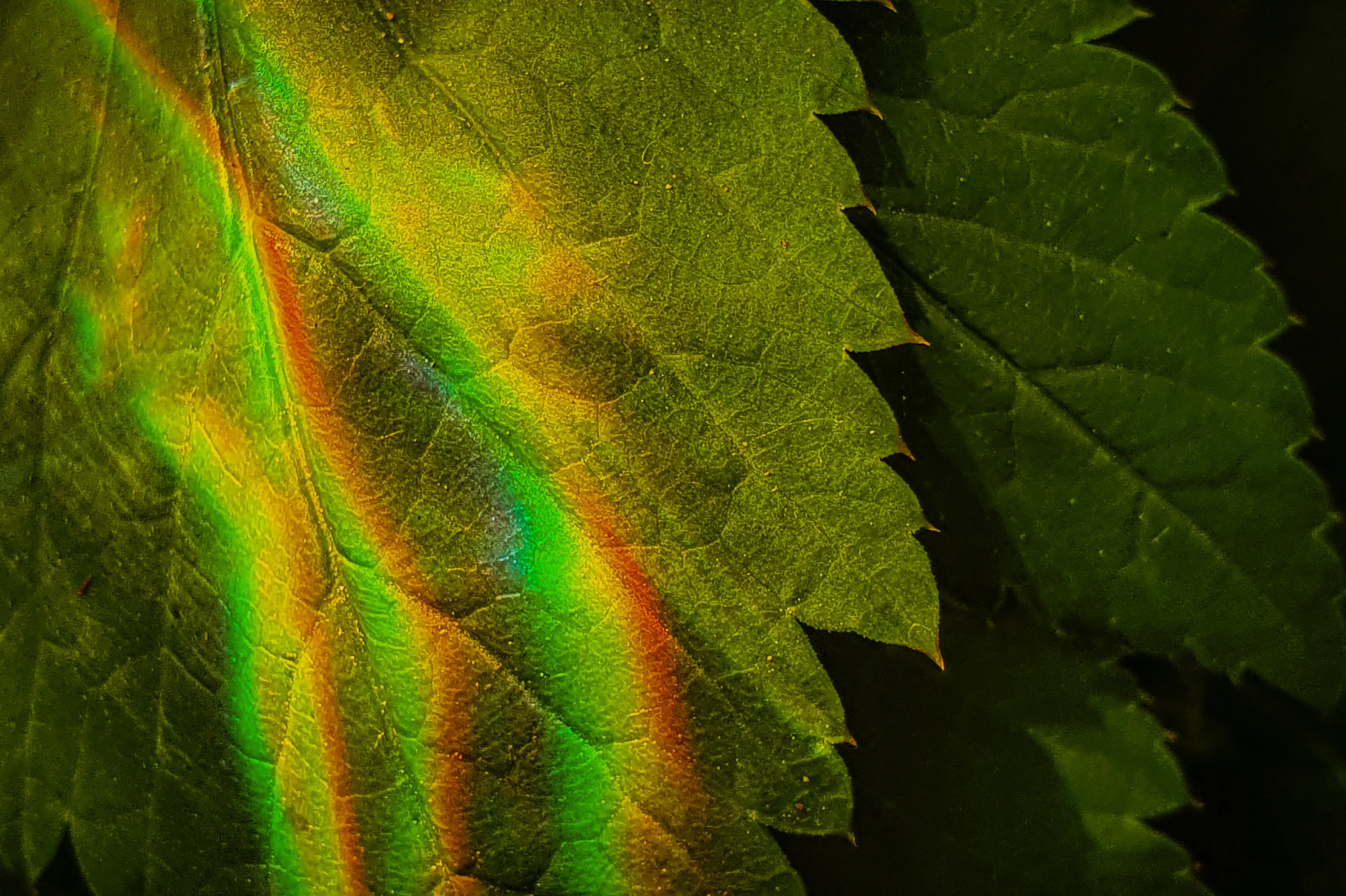 Light refraction