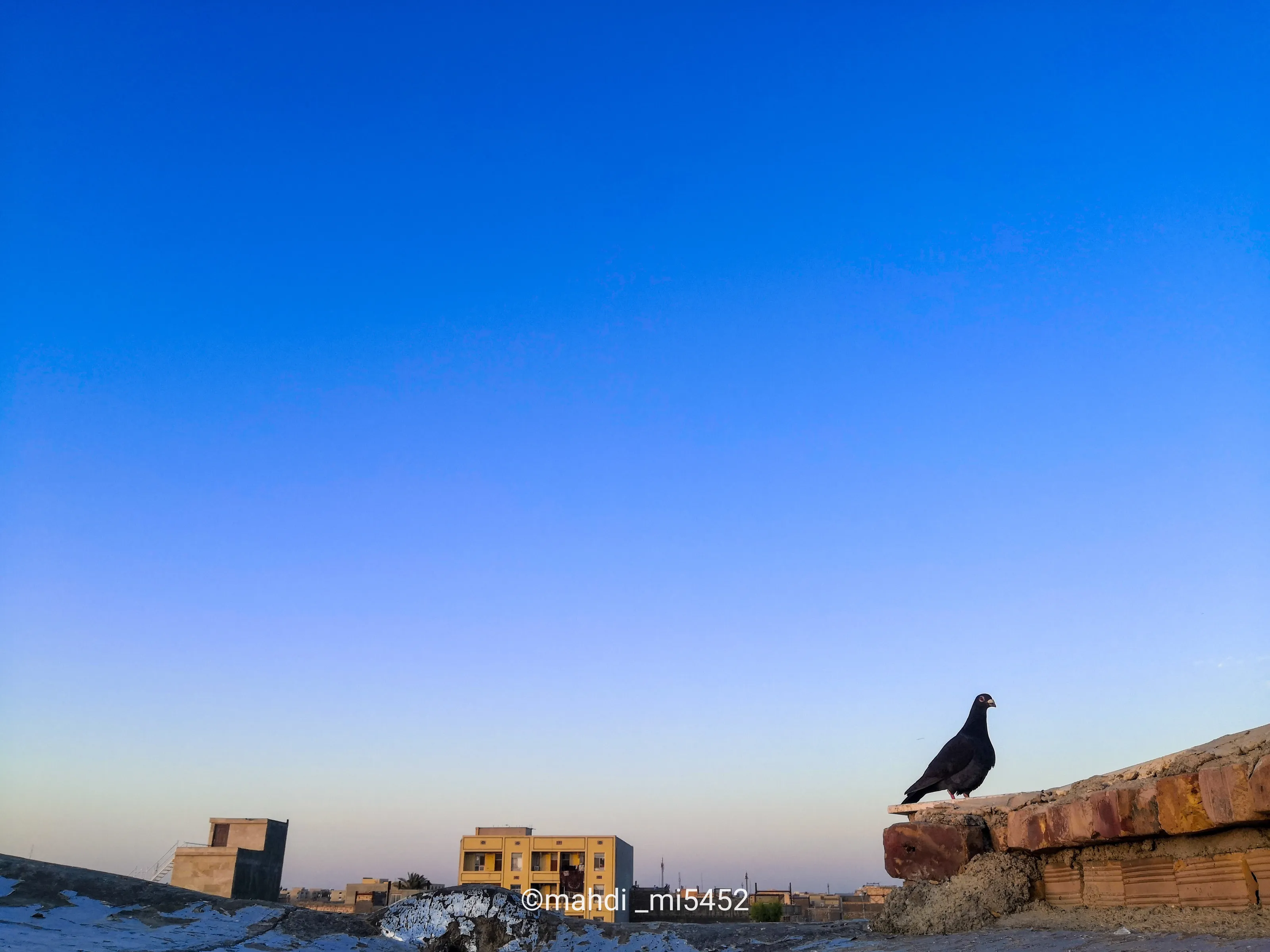 چشم انداز