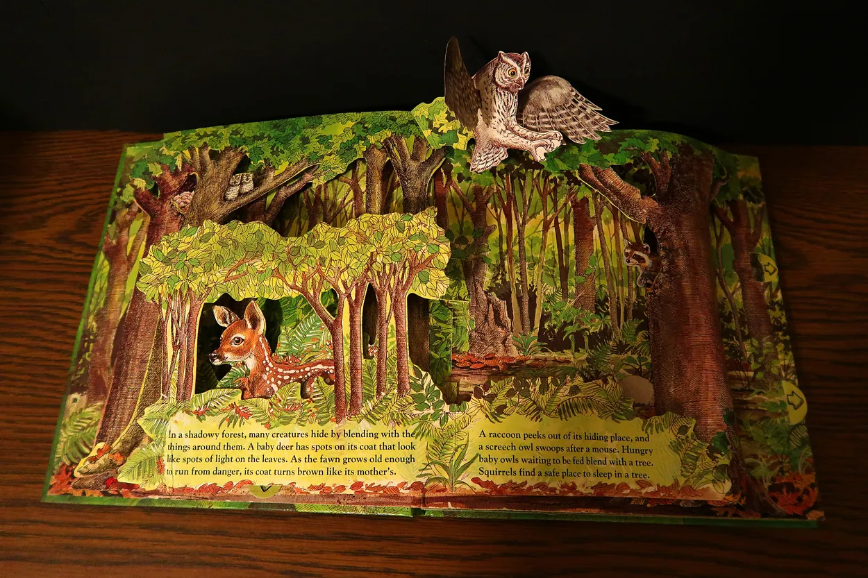 Entry 9086650