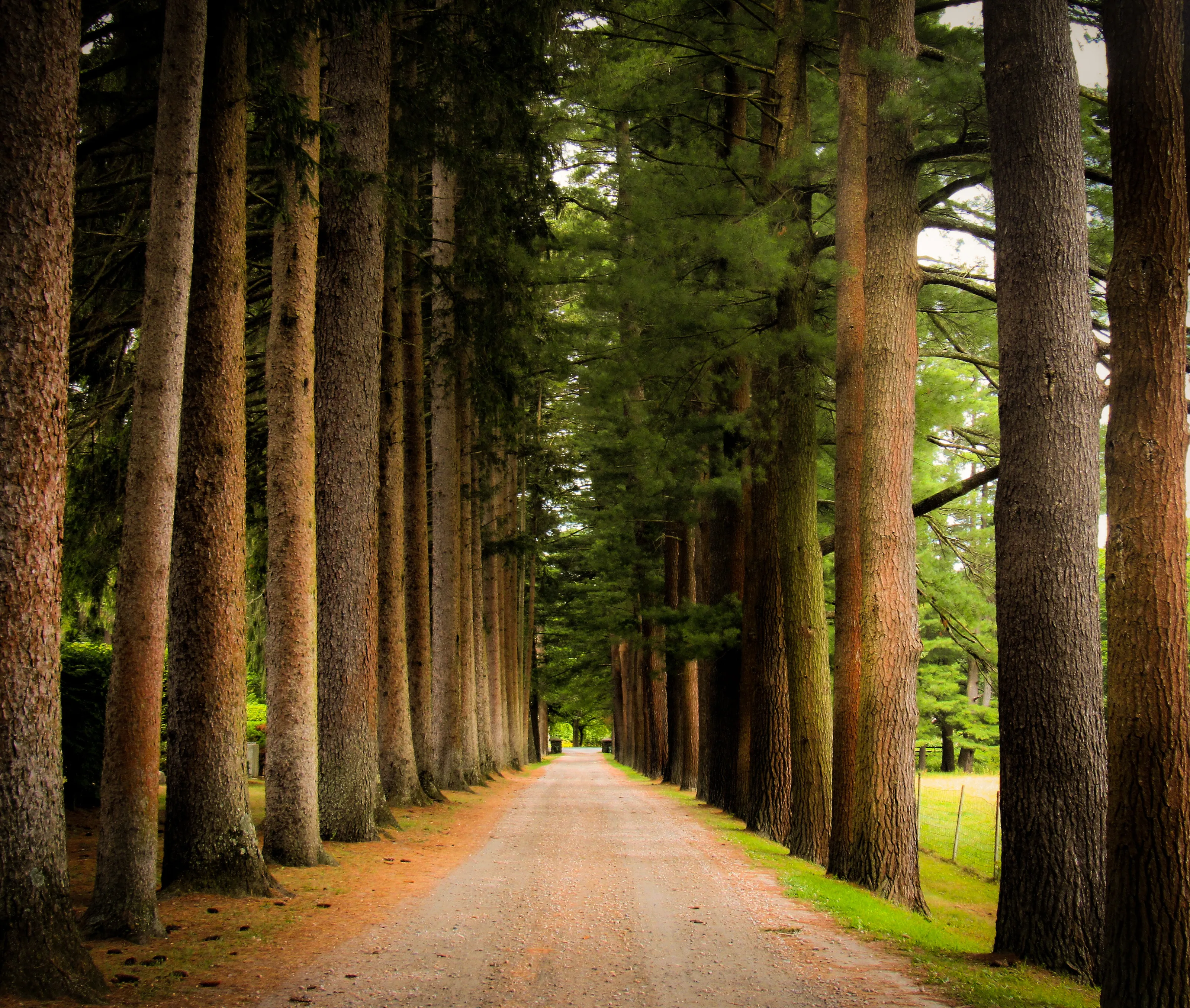 The Road To Naumkeag