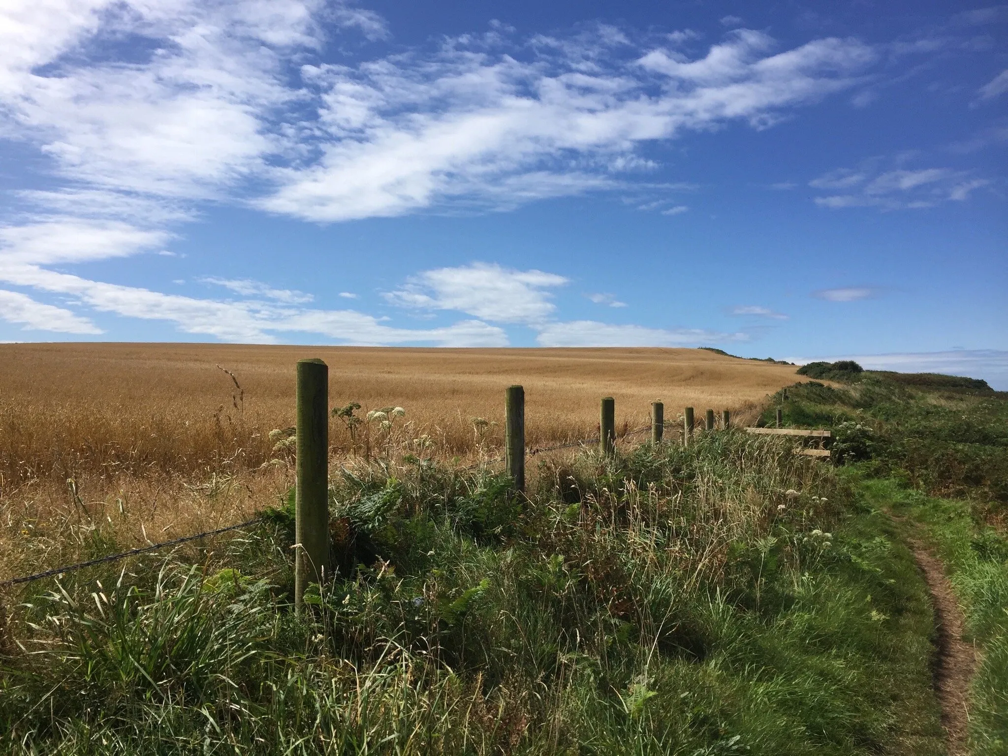 Fence line to infinity