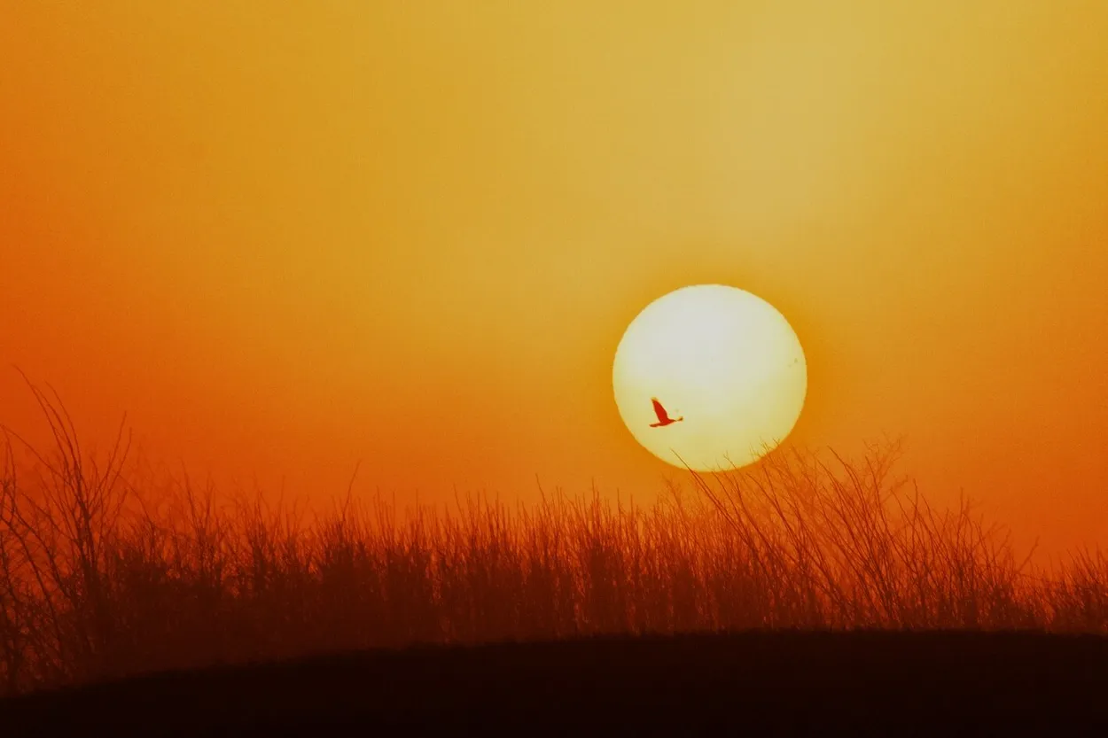 sunset