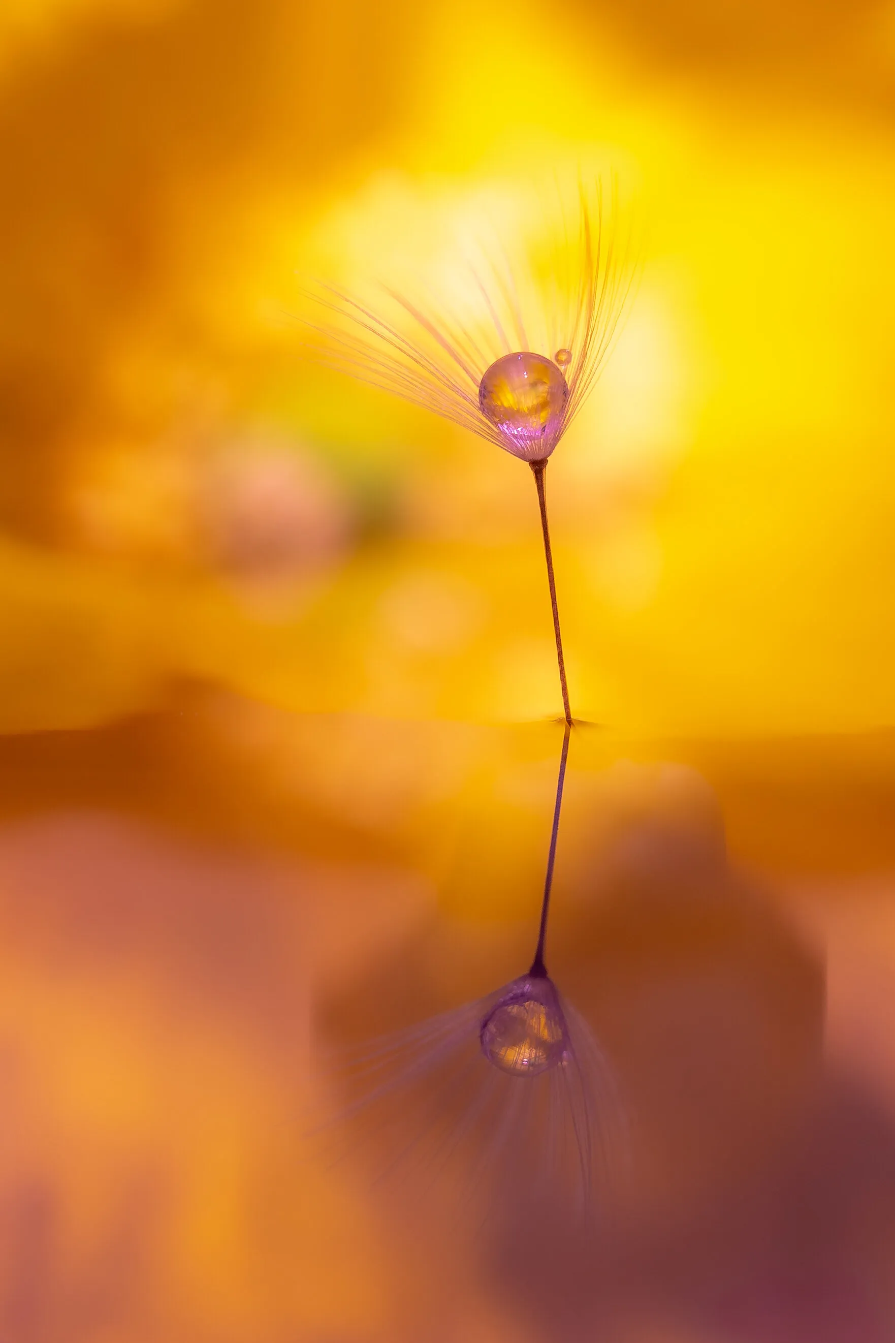 Yellow Globe