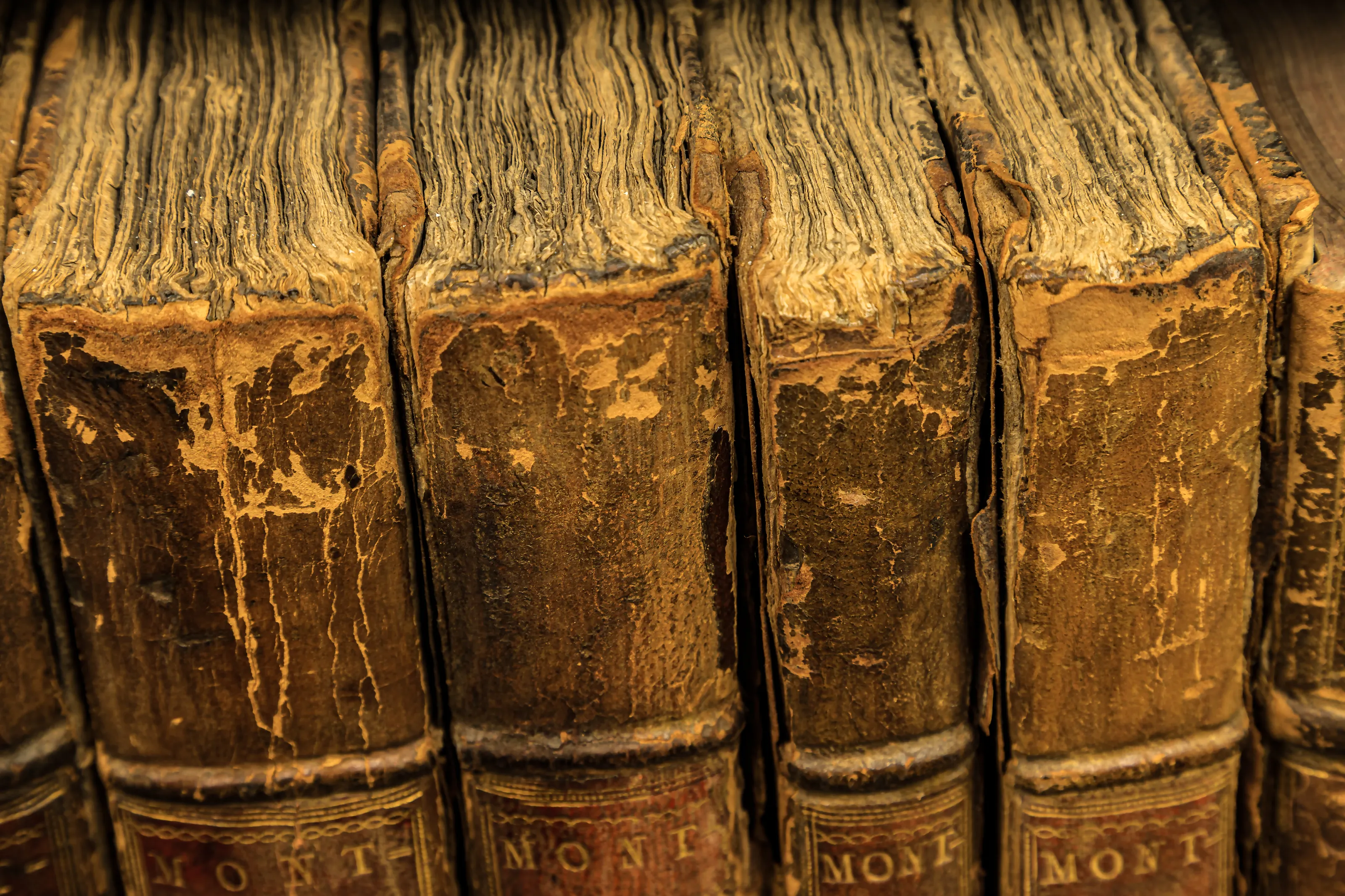 Public Records