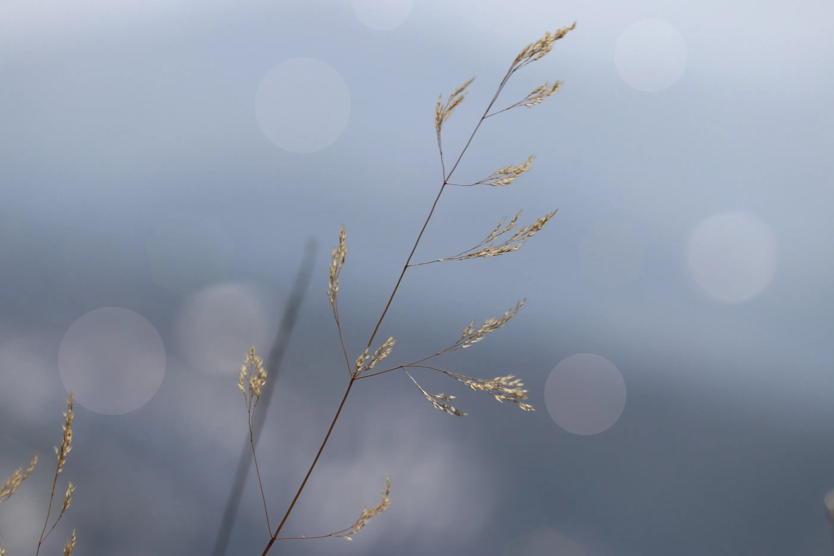 Natures palette