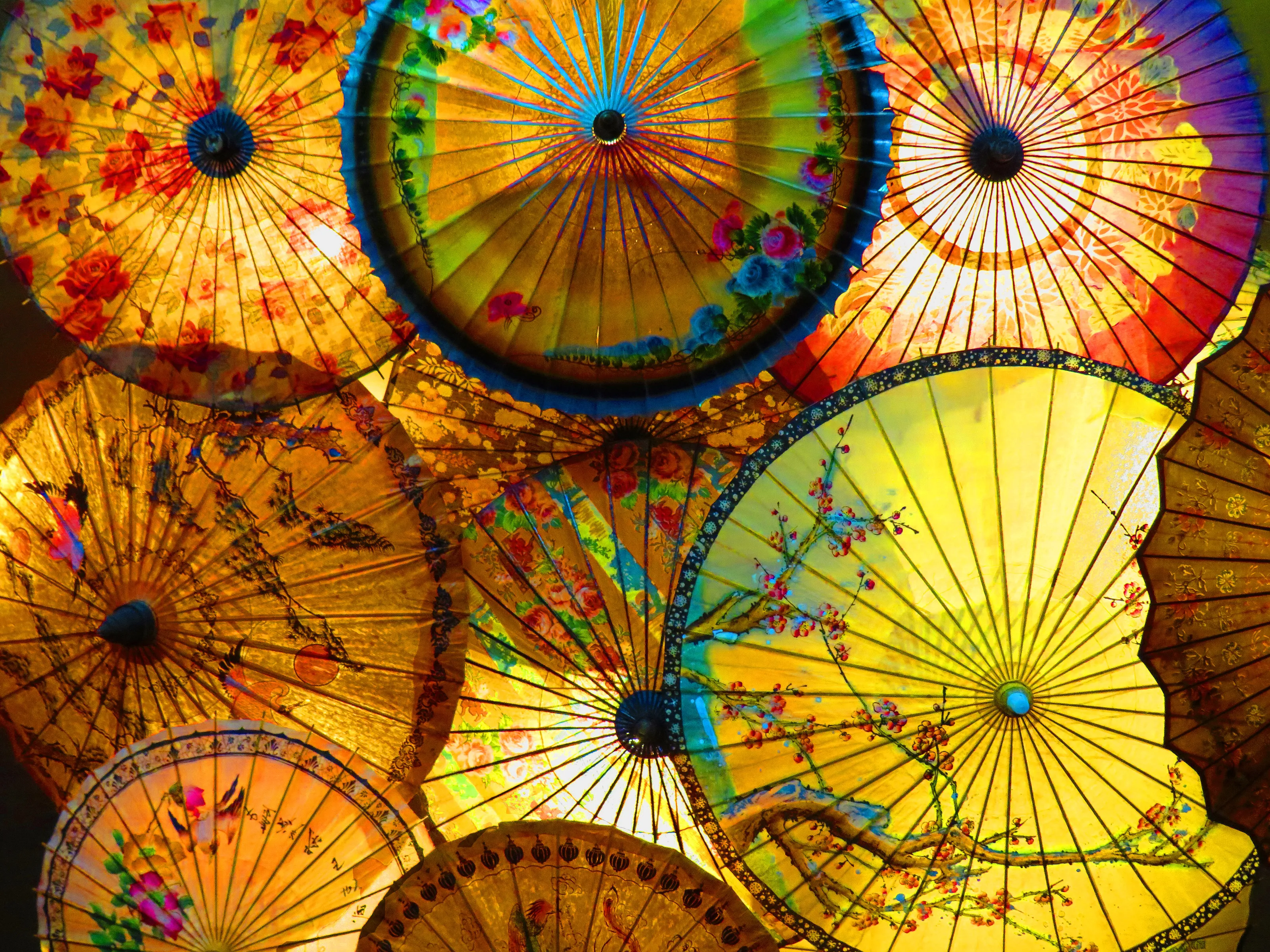 Brollies