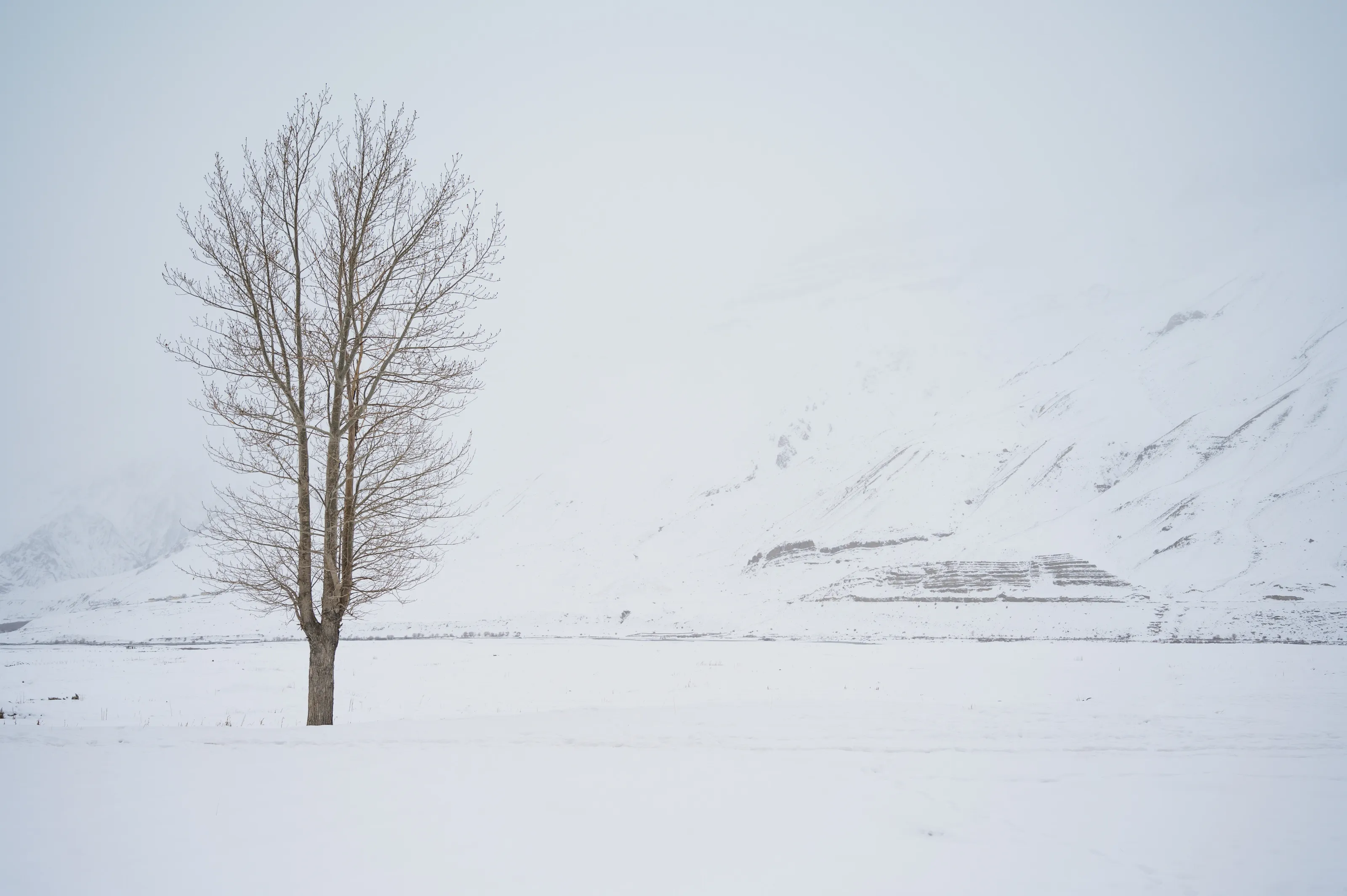Life in WInter