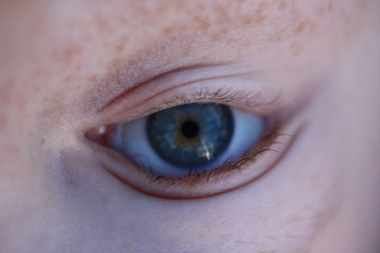 an eye for an eye