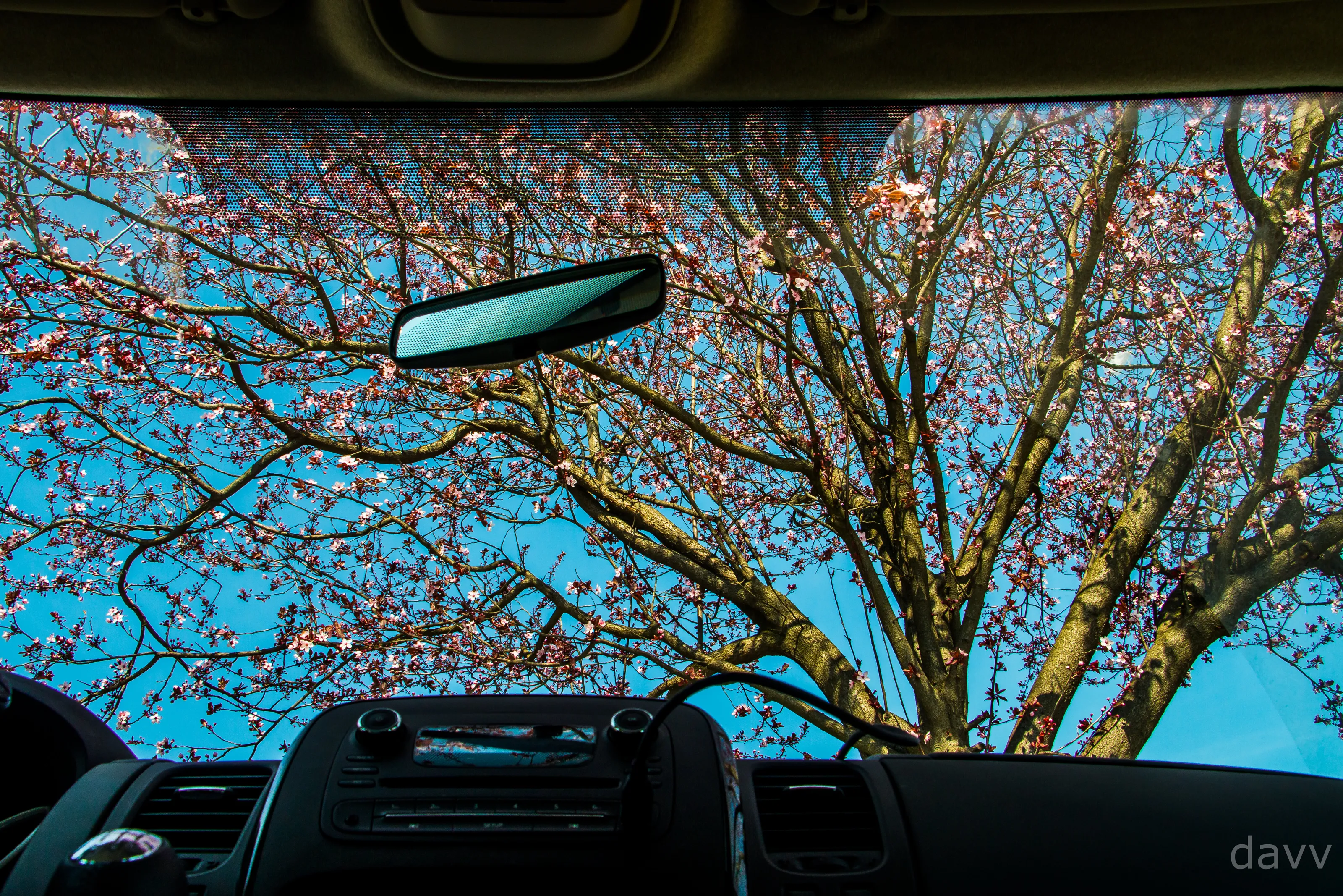 Spring from the car