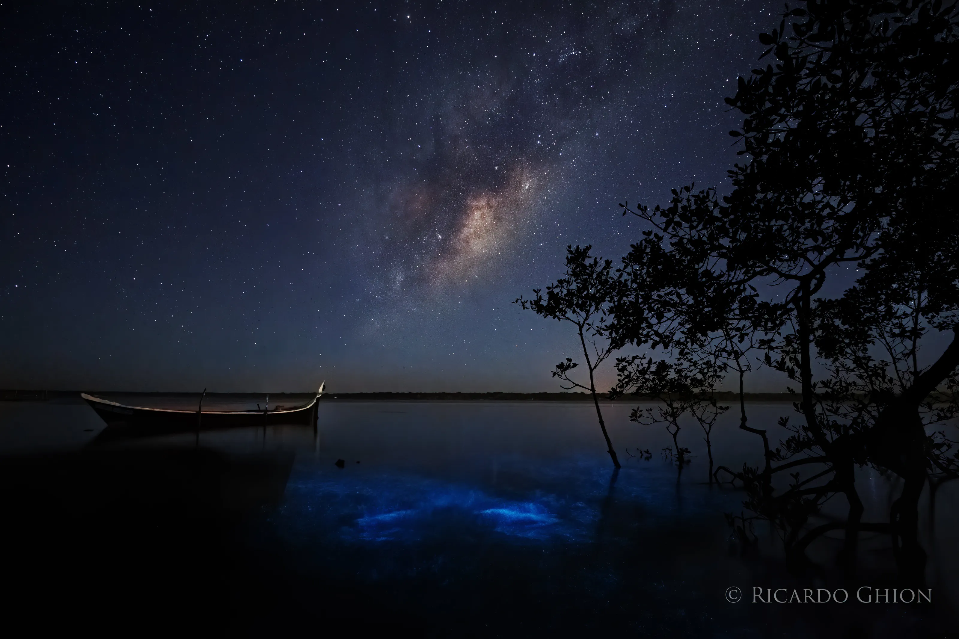 Milky Way + bioluminescence