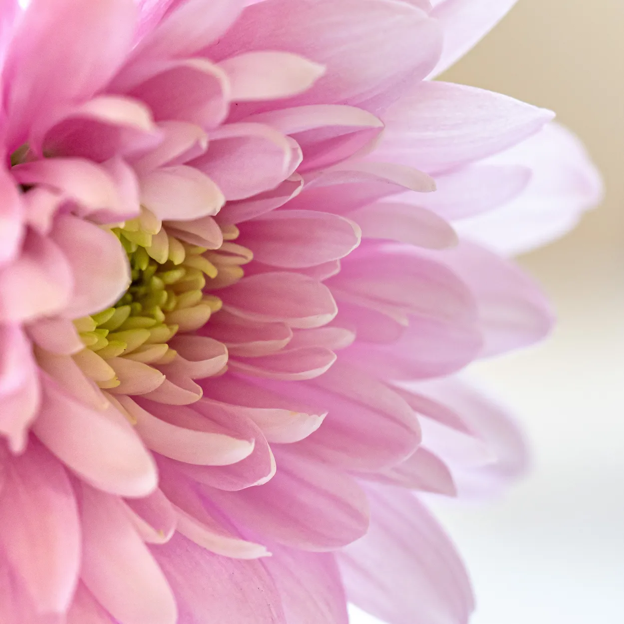 Entry 9555430