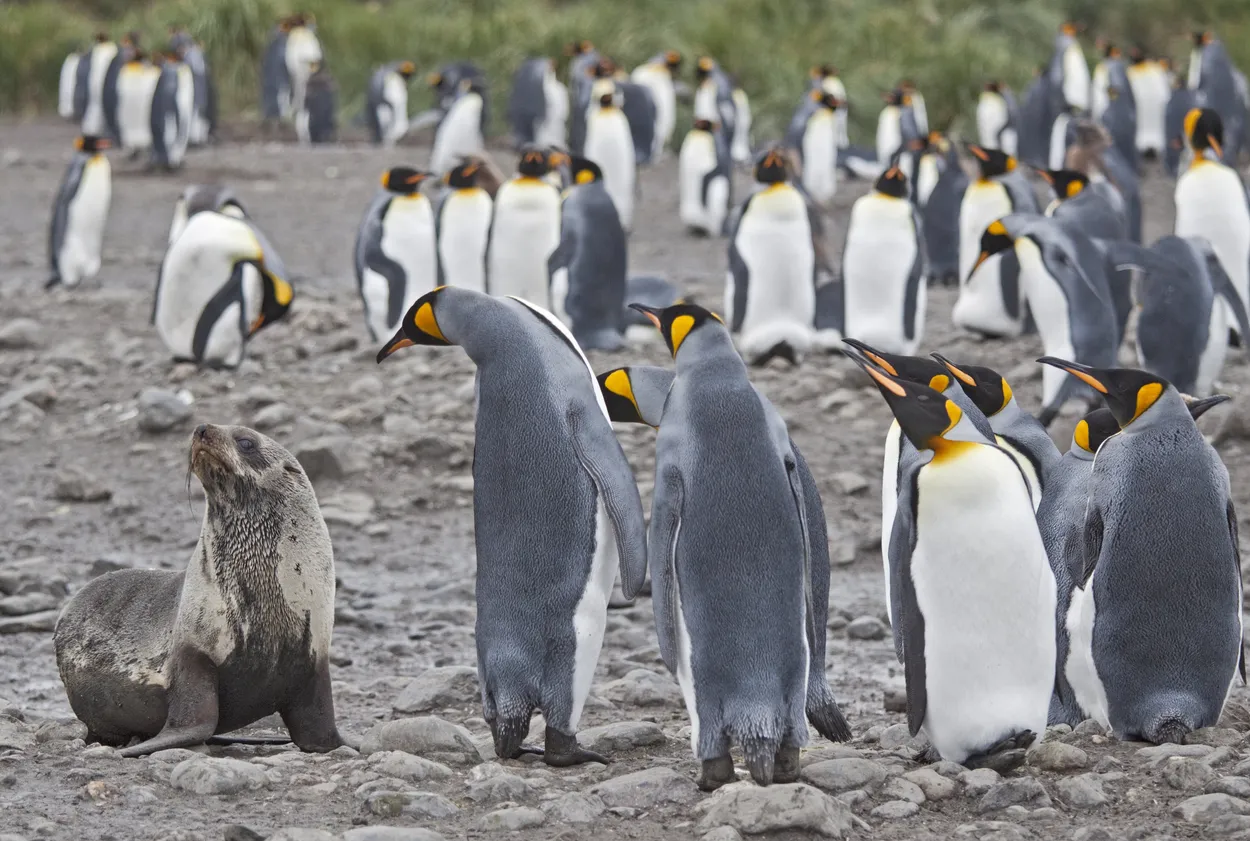Entry 7510345