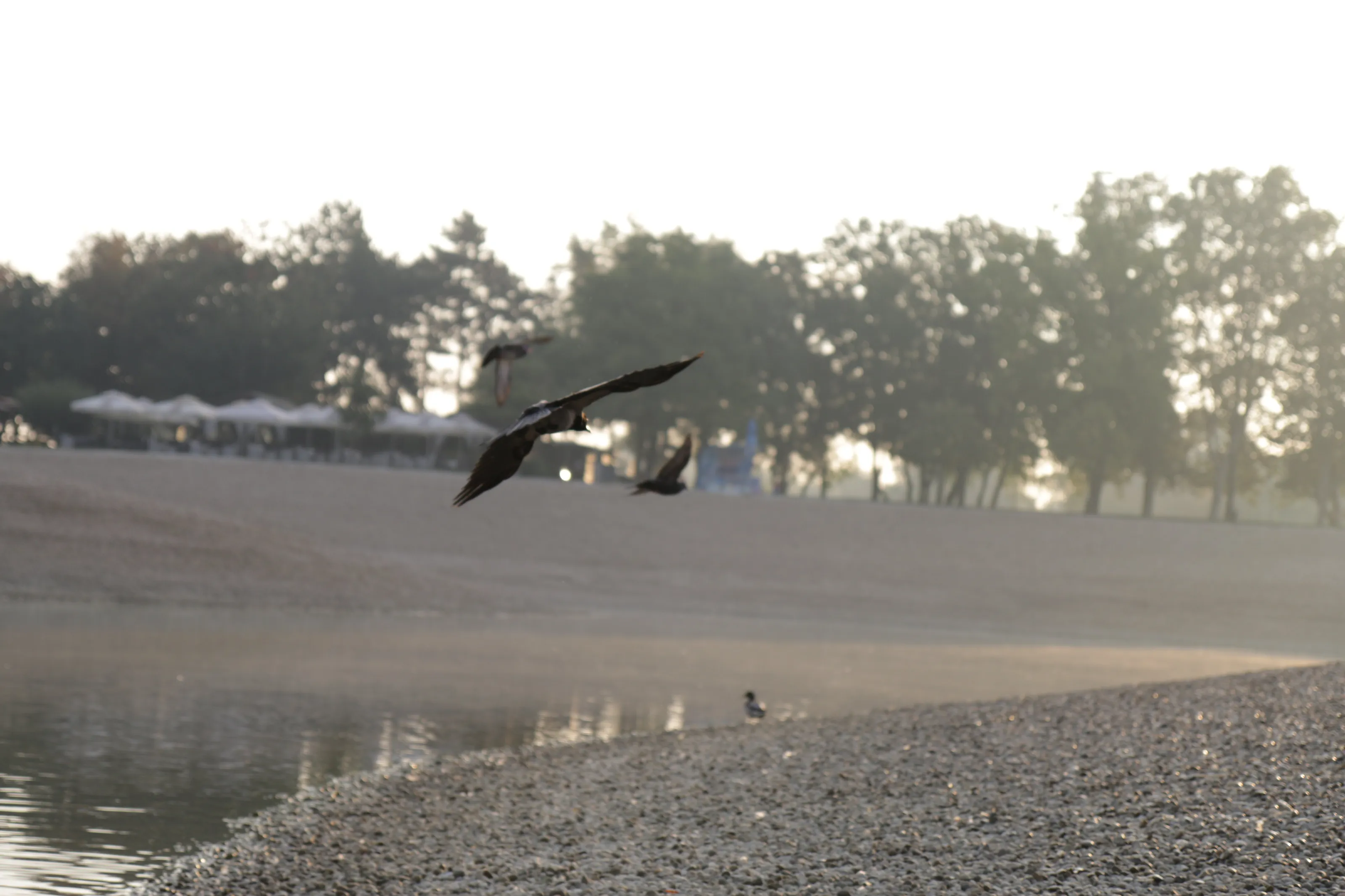 Early morning flight