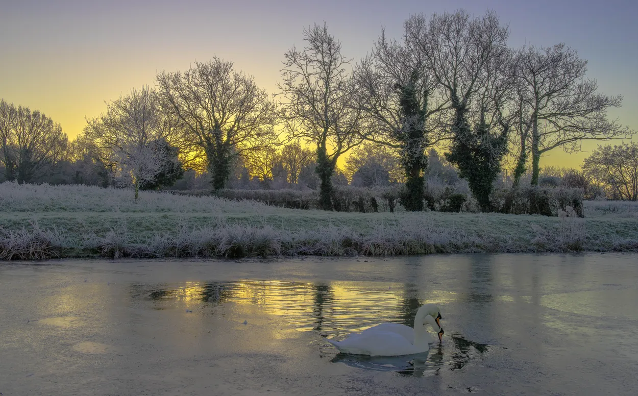 Entry 1360030