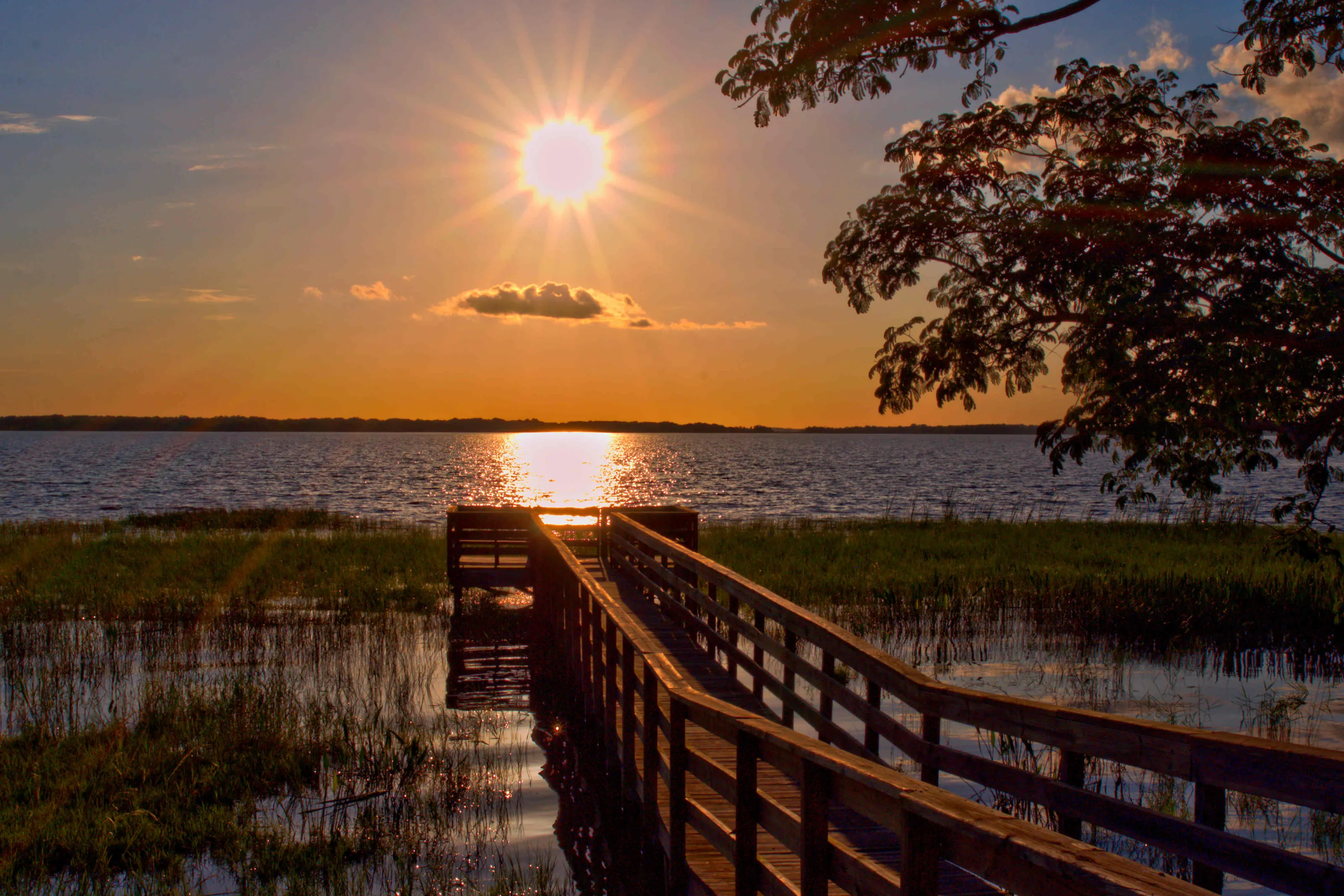 MINEOLA SUN SET