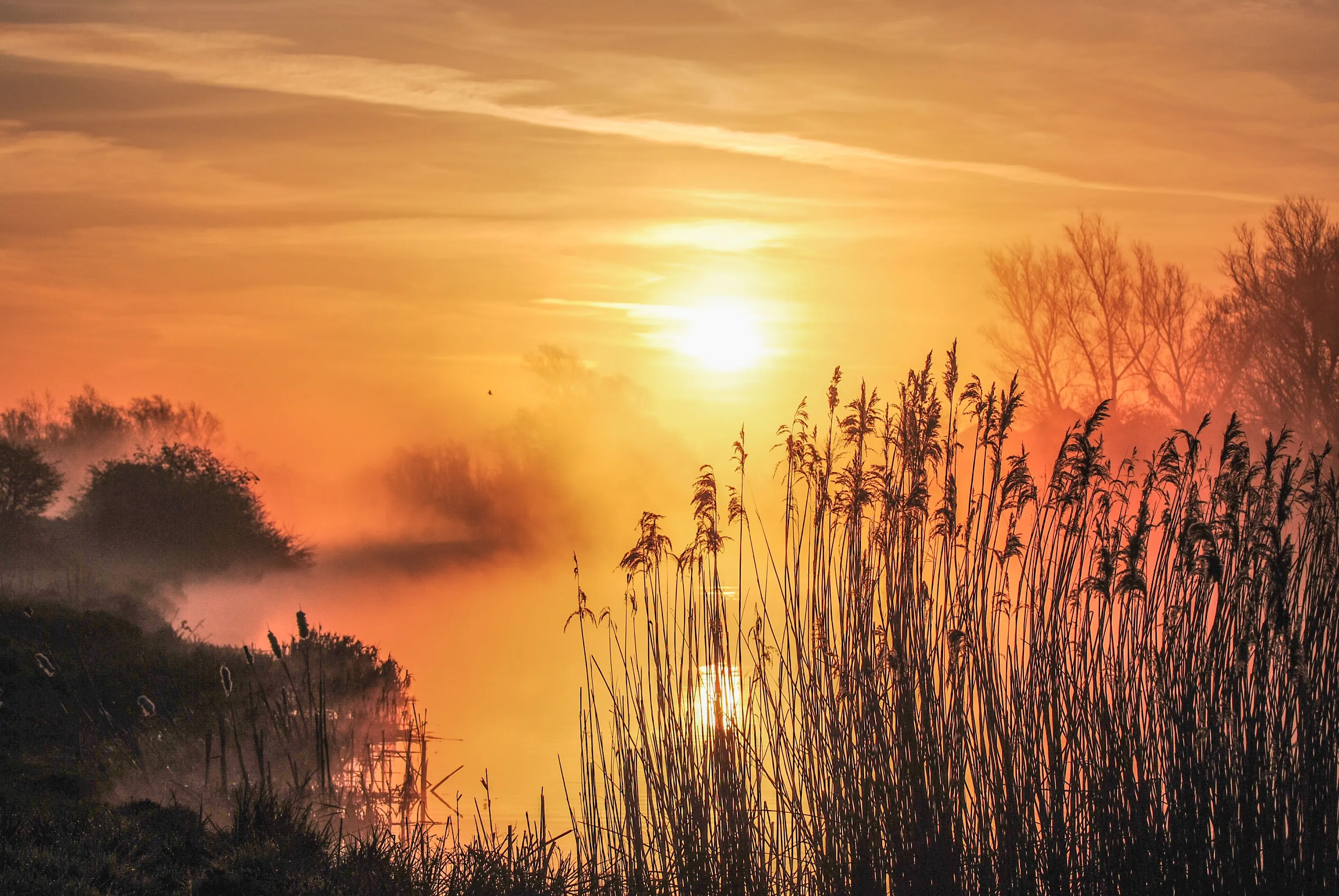 Misty river in the Fens