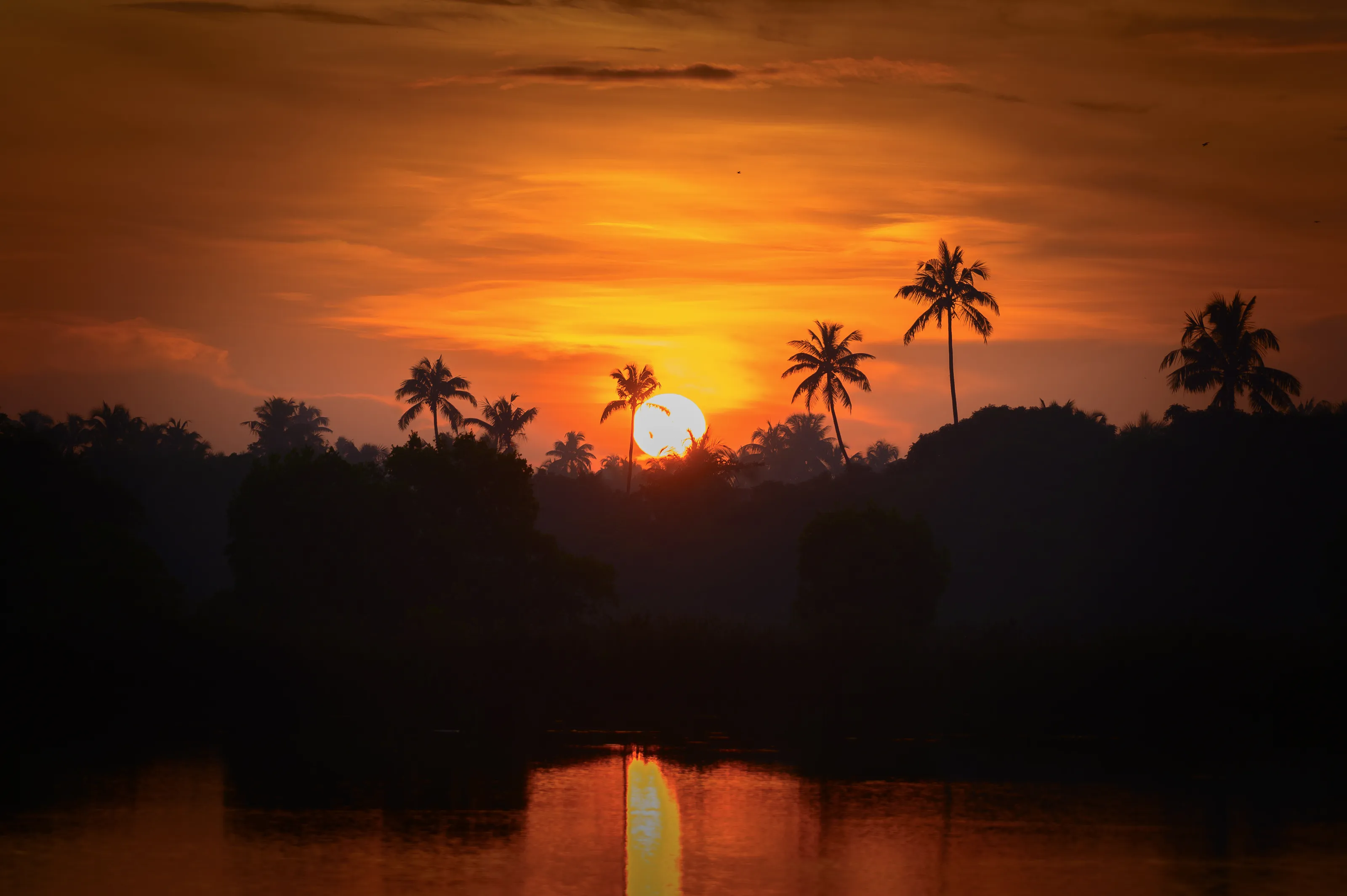 magical sunrise in kochi