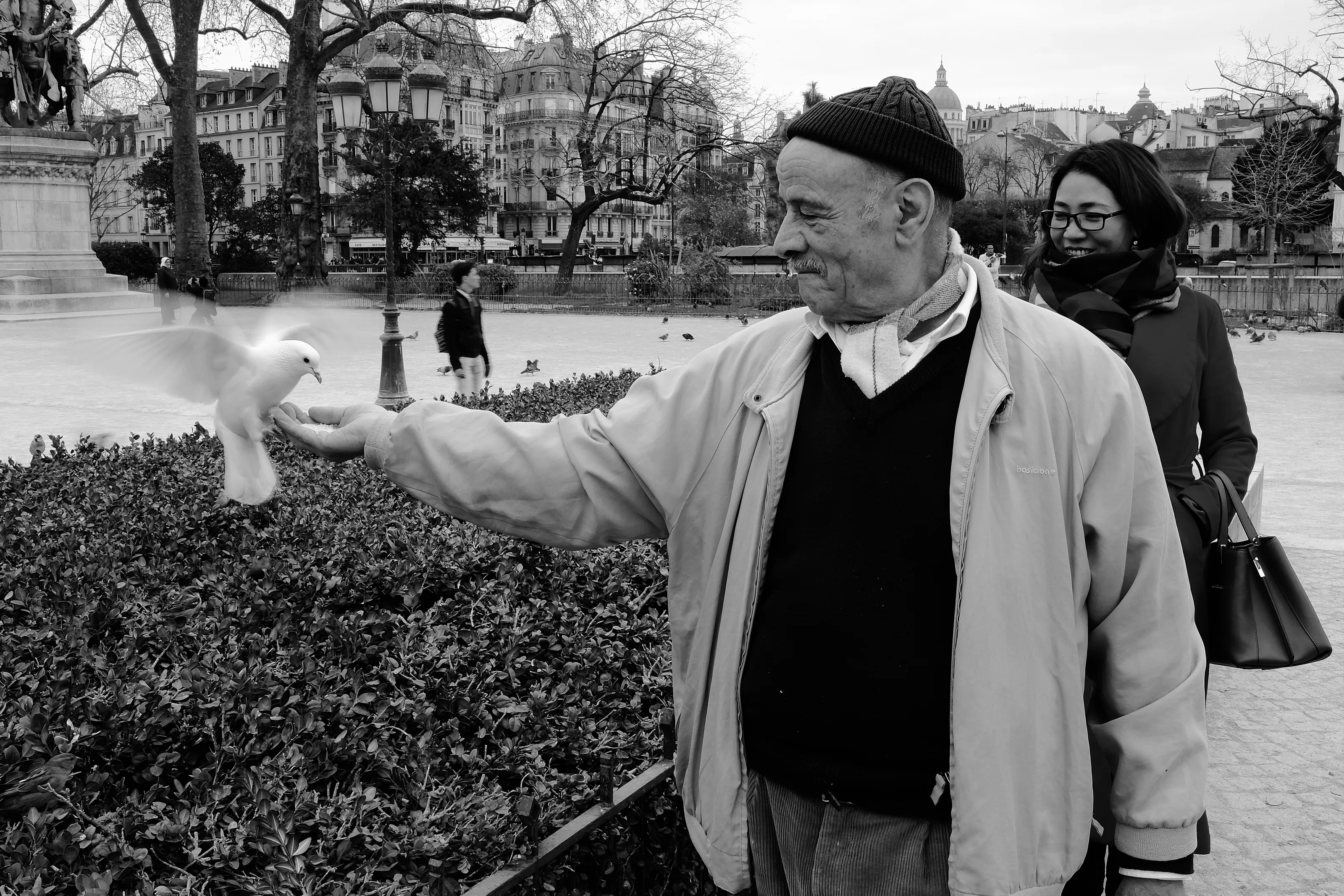 Feeding Pigeon