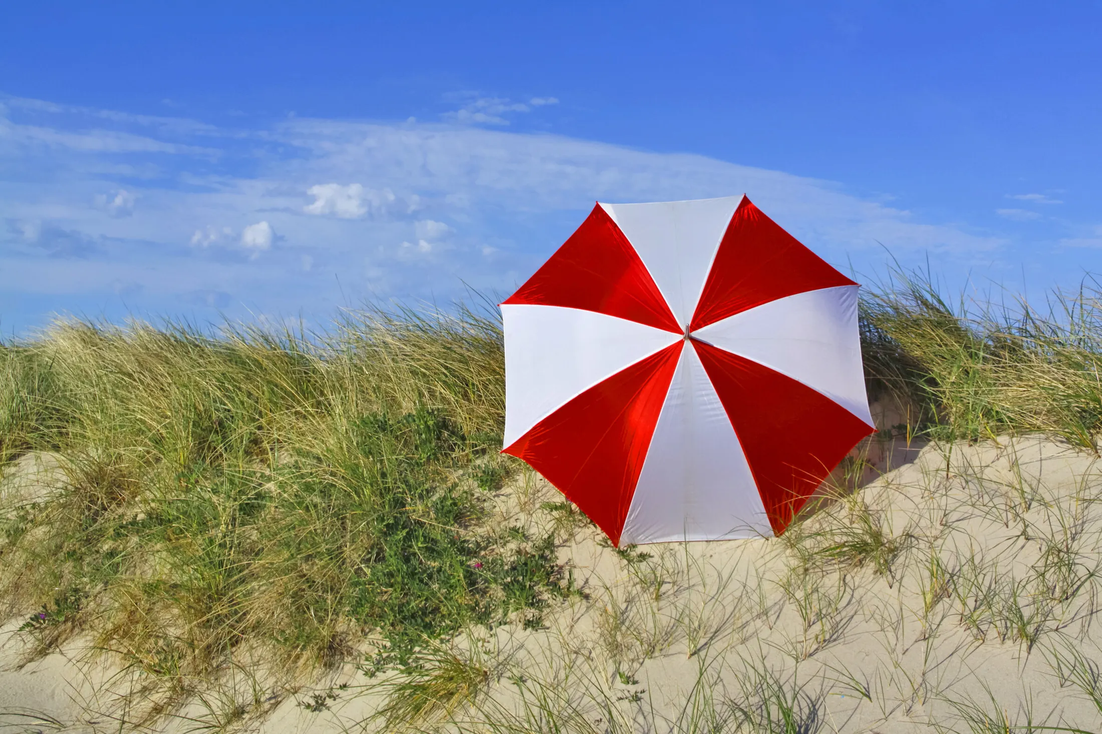 Danish Summer