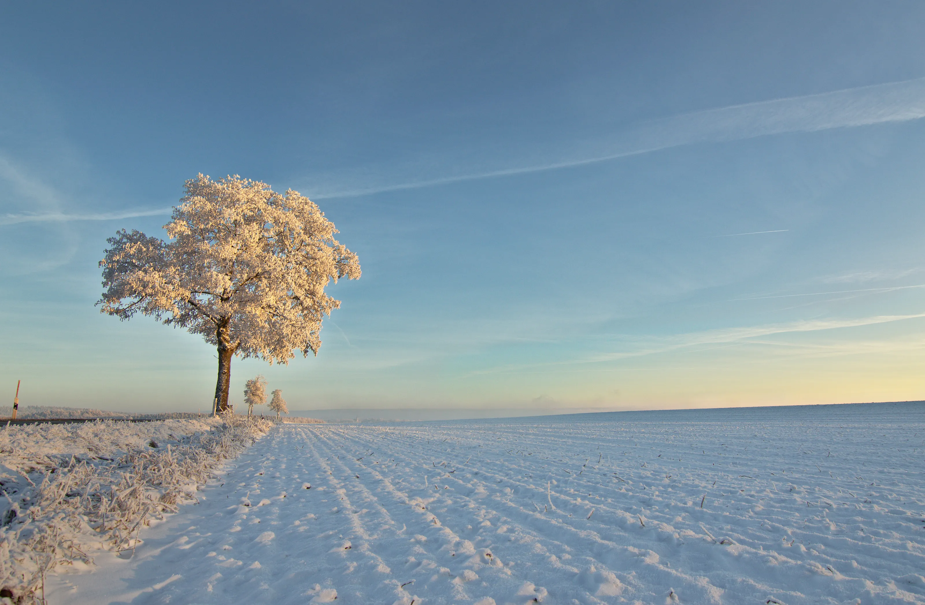 German frost