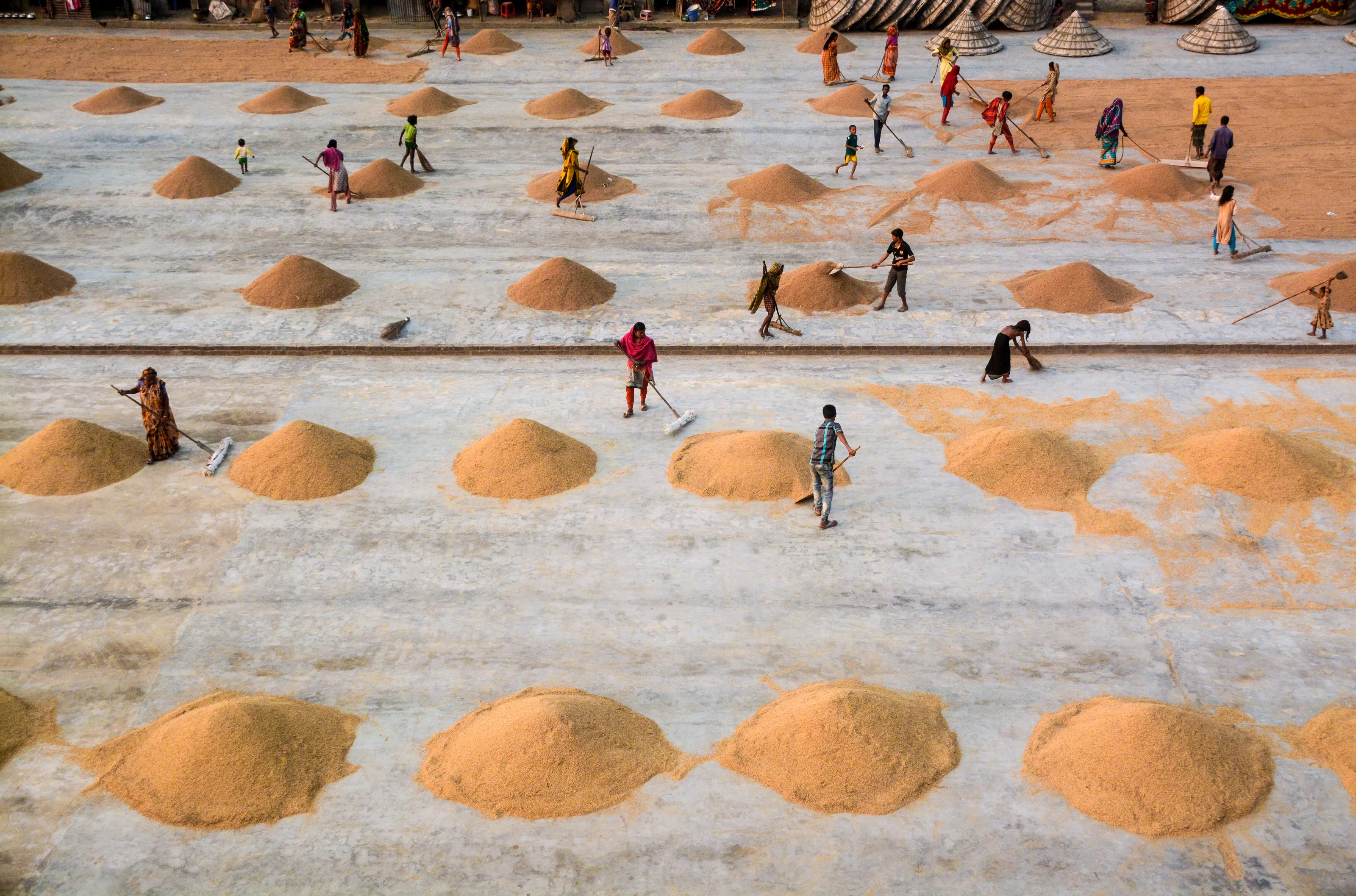 Traditional Rice Processing