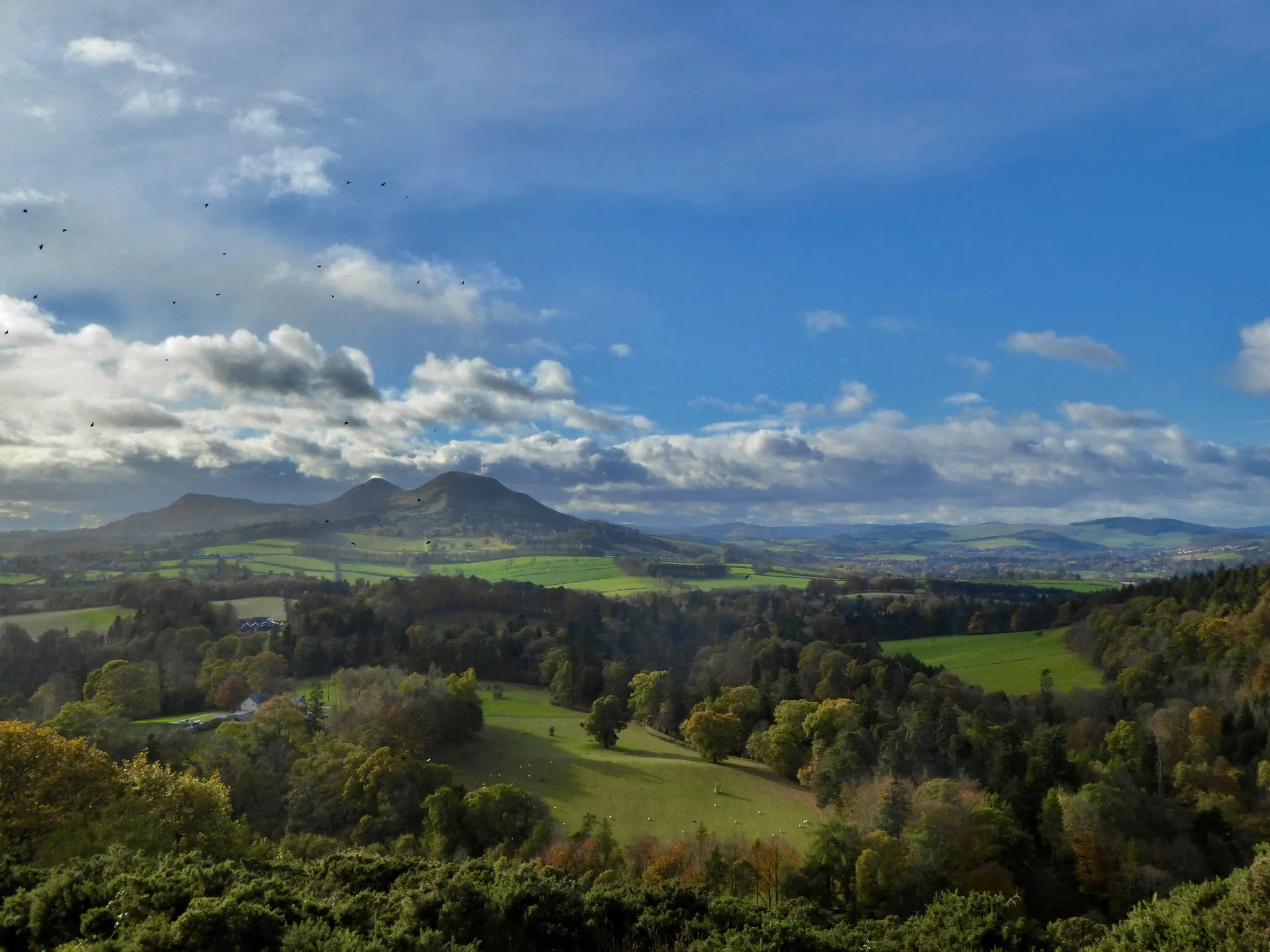 The Eildons